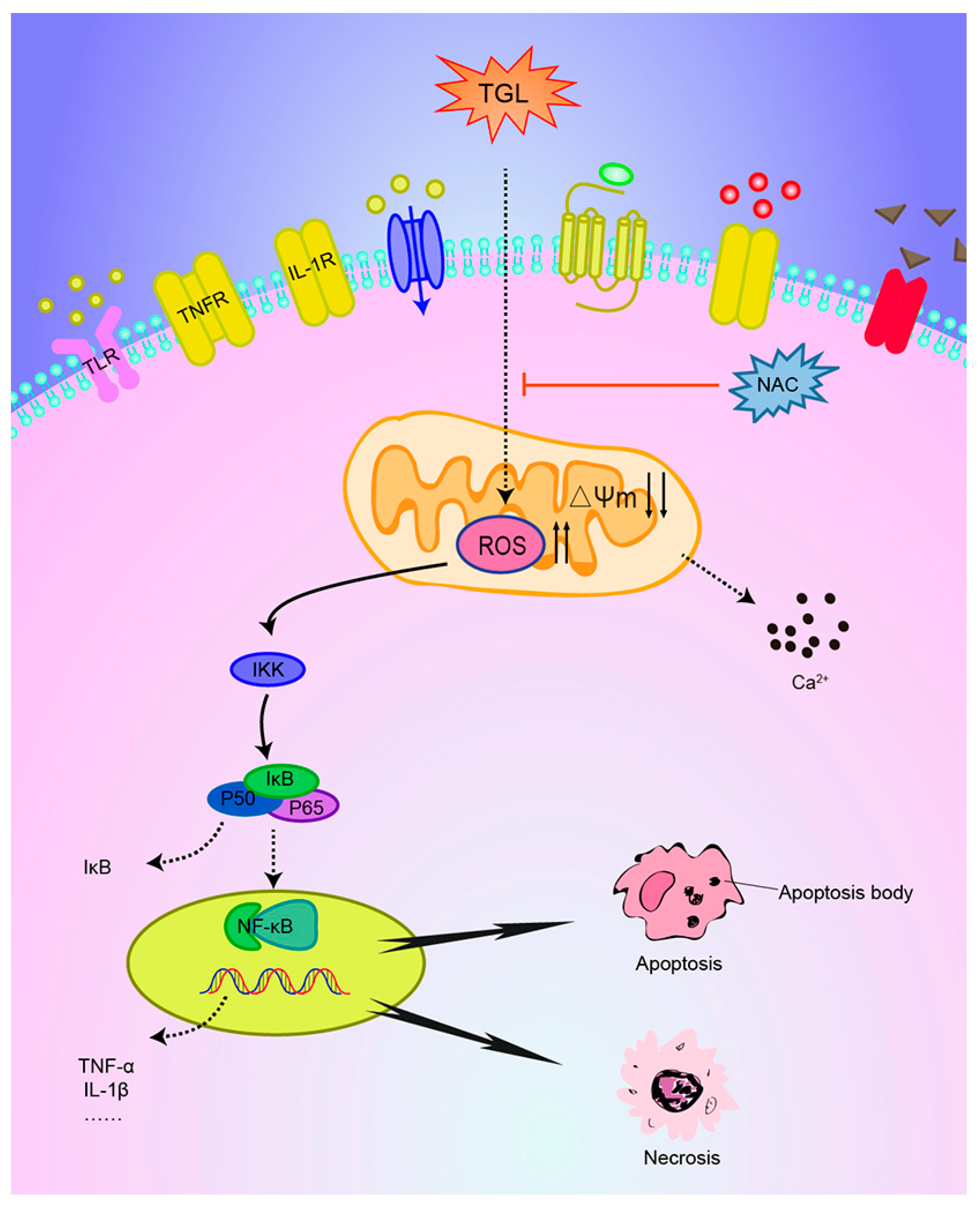 Toxins 09 00275 g008