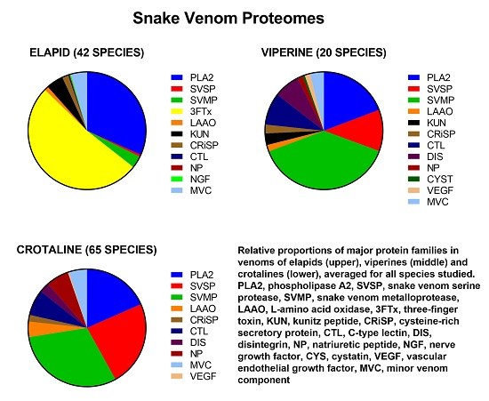 Snake Venom Toxicity Chart