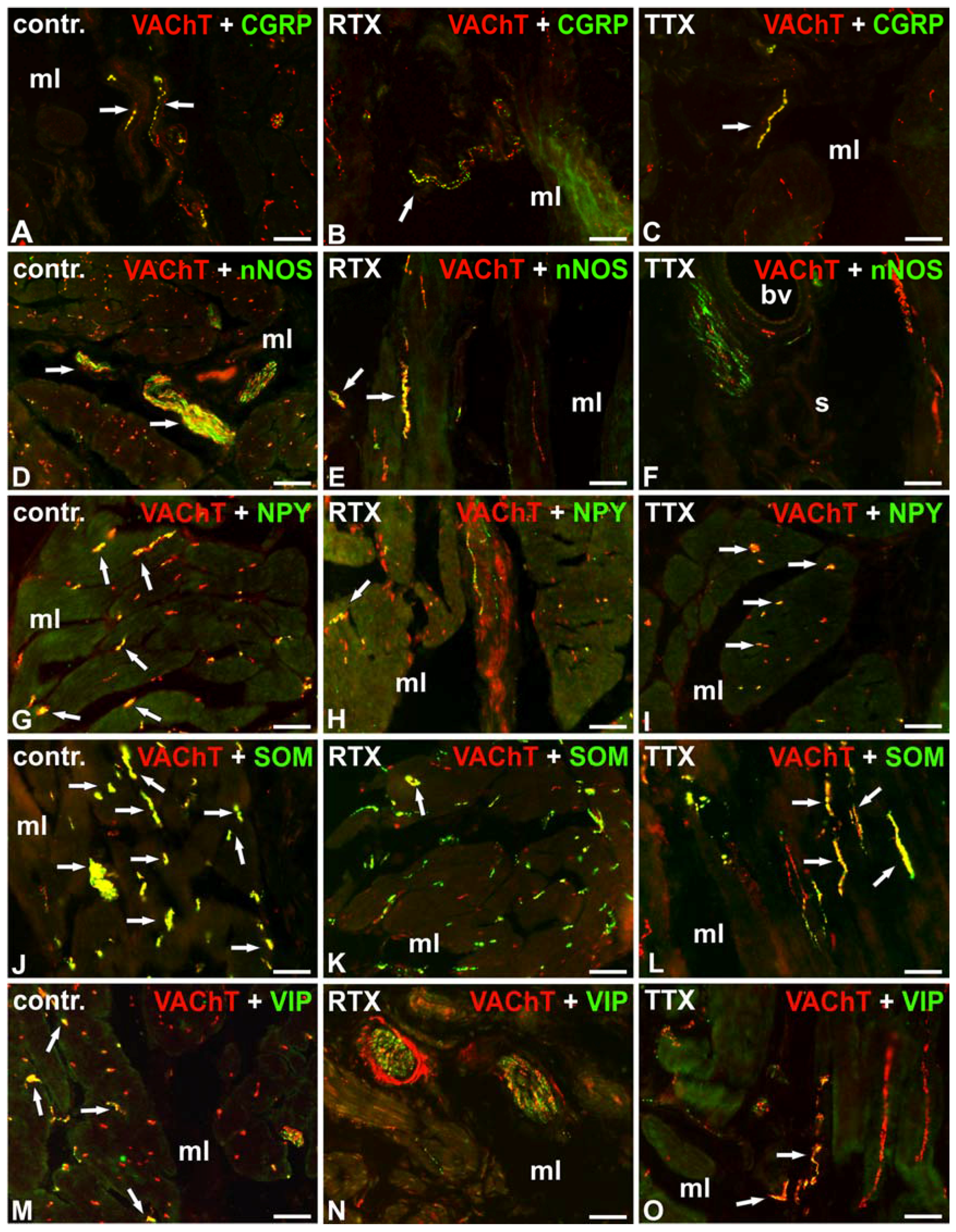 Toxins 09 00310 g002