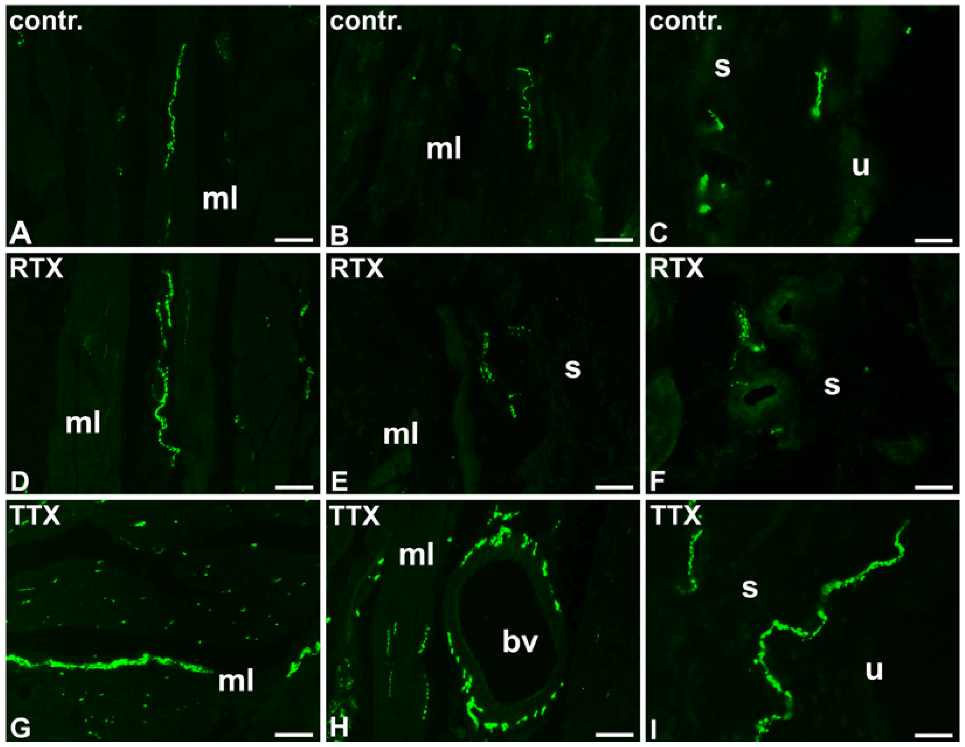 Toxins 09 00310 g003