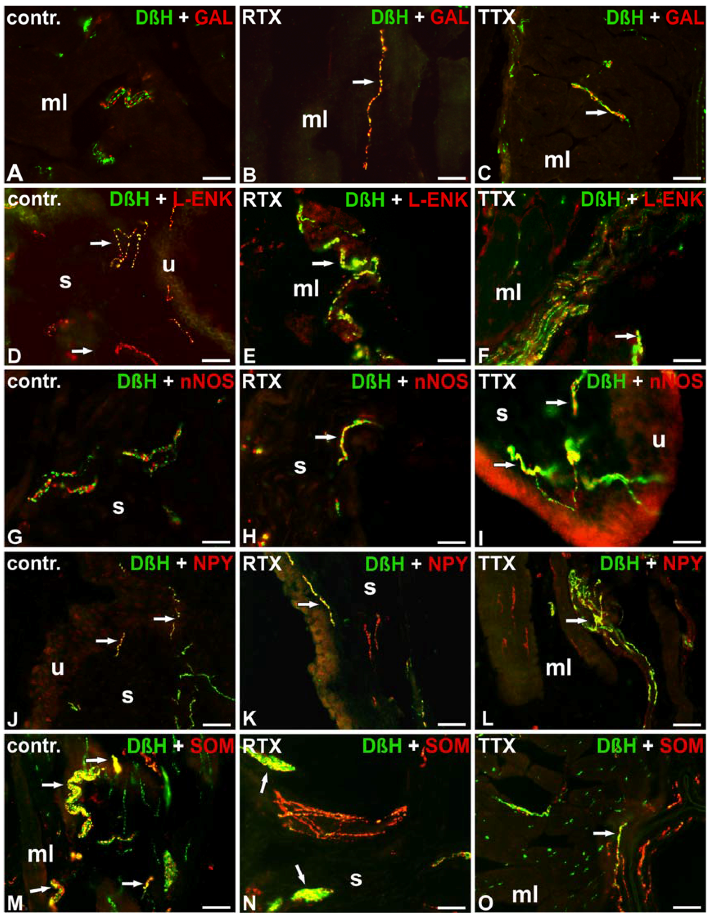 Toxins 09 00310 g004