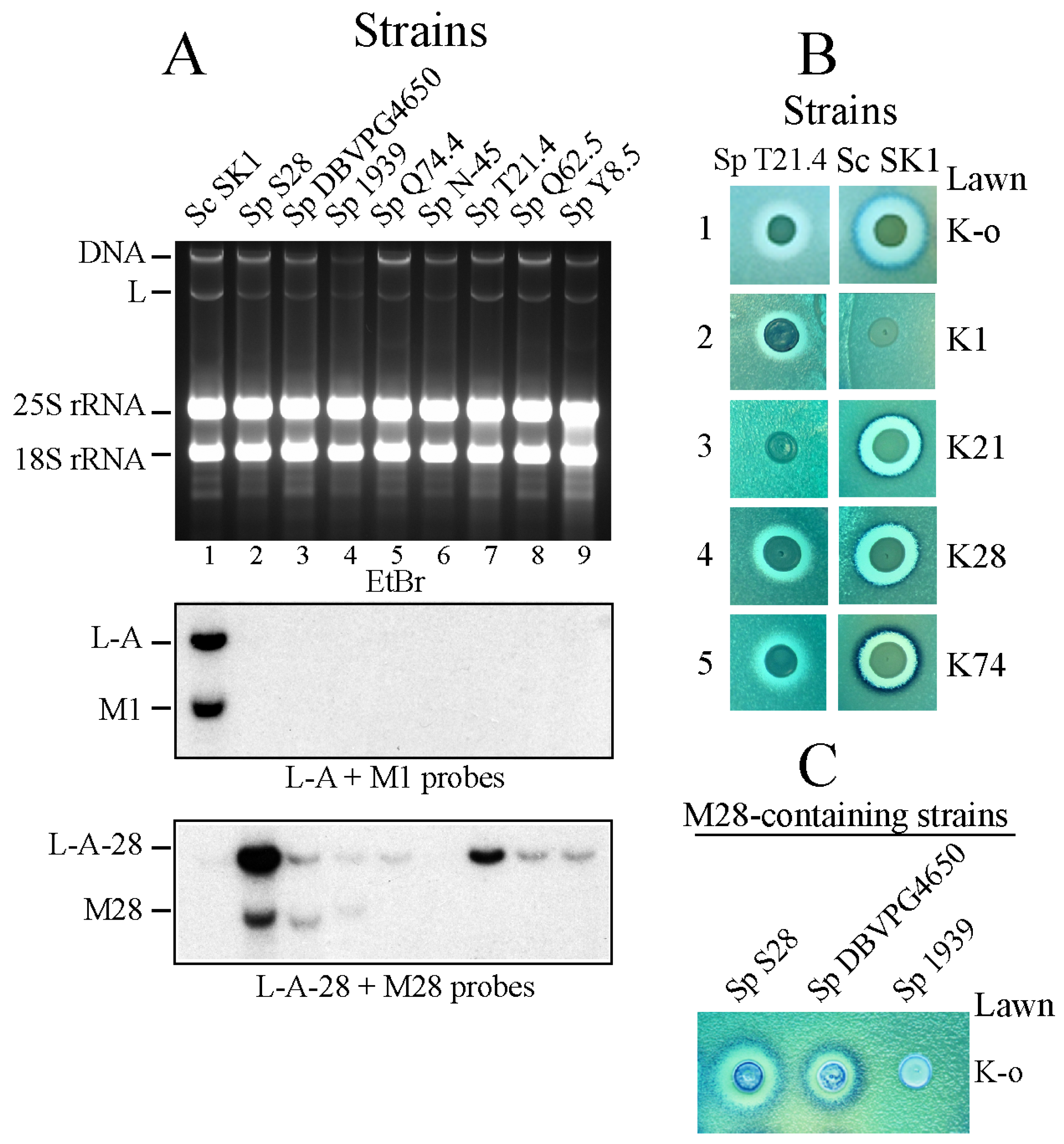 Toxins 09 00313 g001