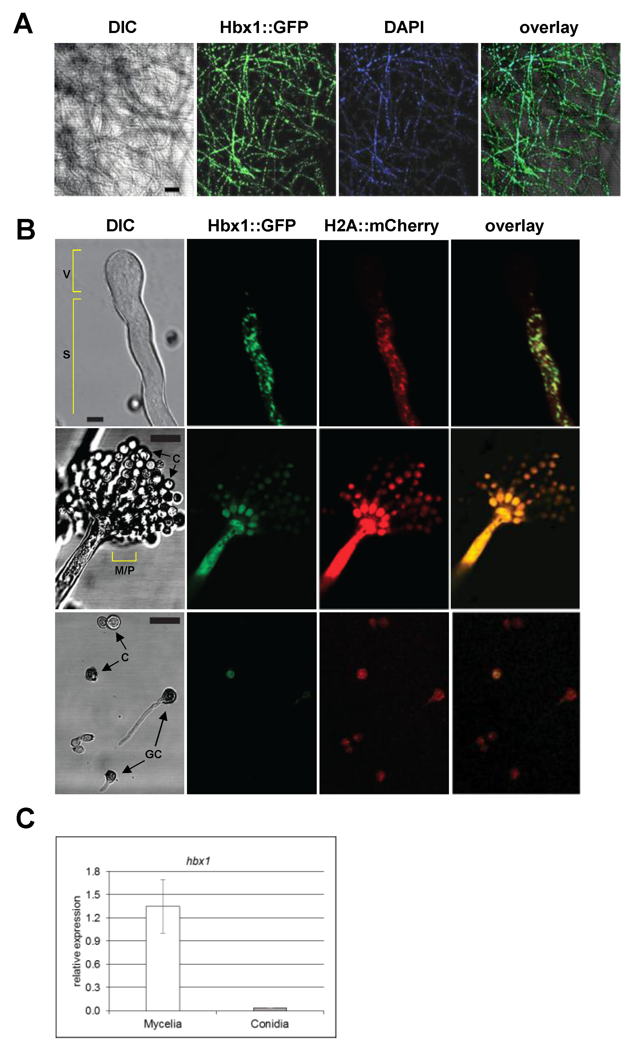 Toxins 09 00315 g007