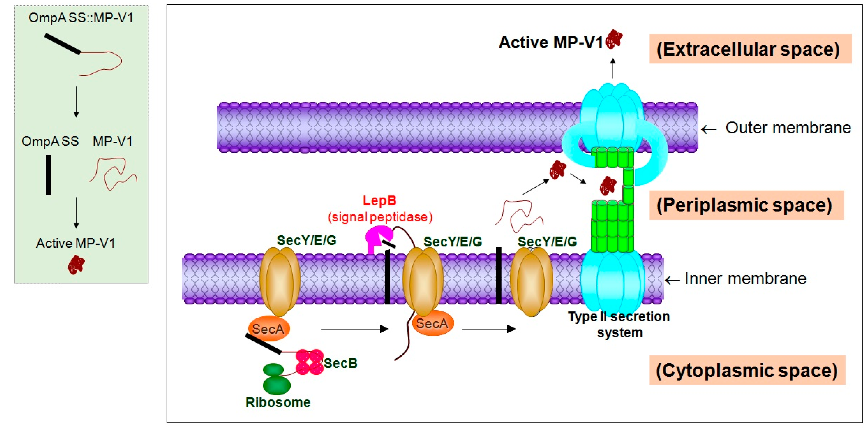 Toxins 09 00321 g006 550