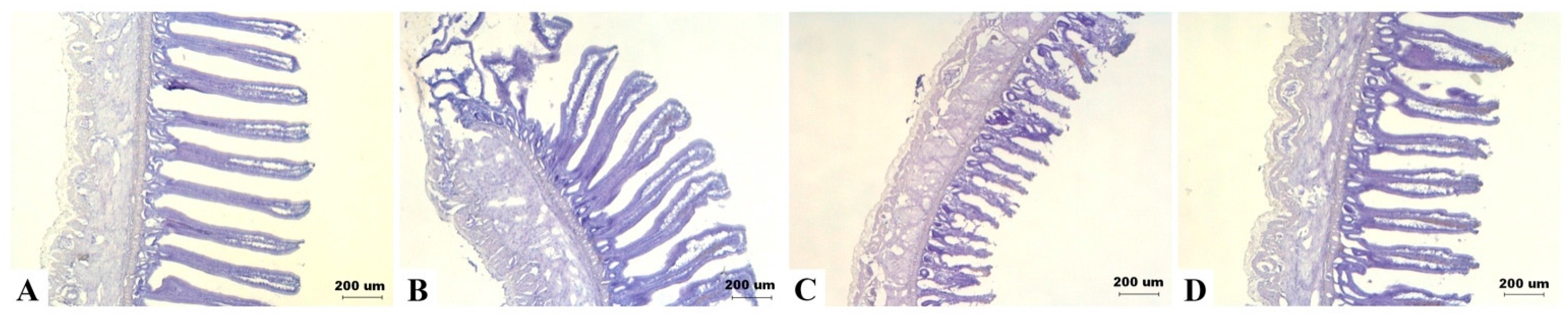 Toxins 09 00334 g005