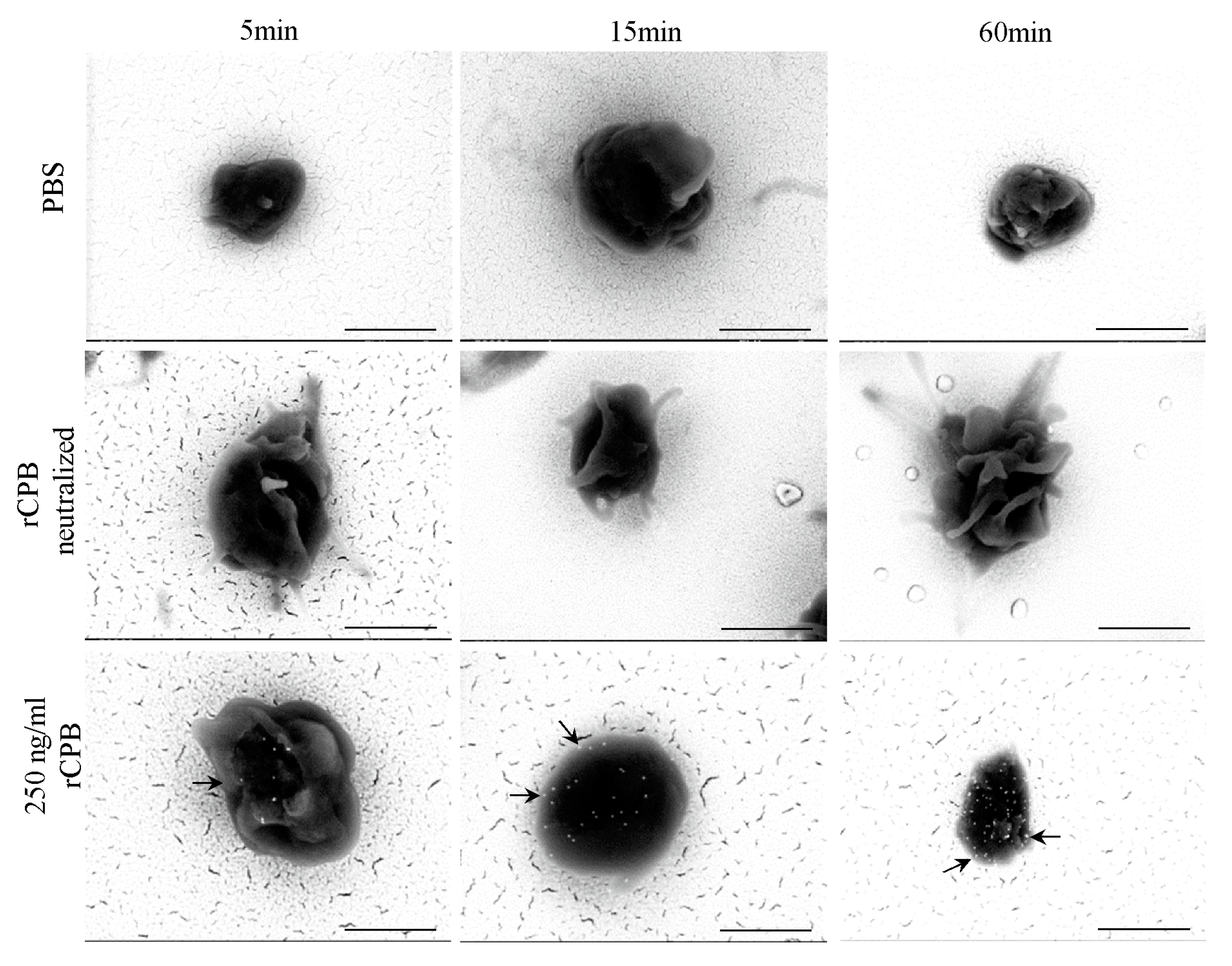 Toxins 09 00336 g006 Toxins 09 00336 g006