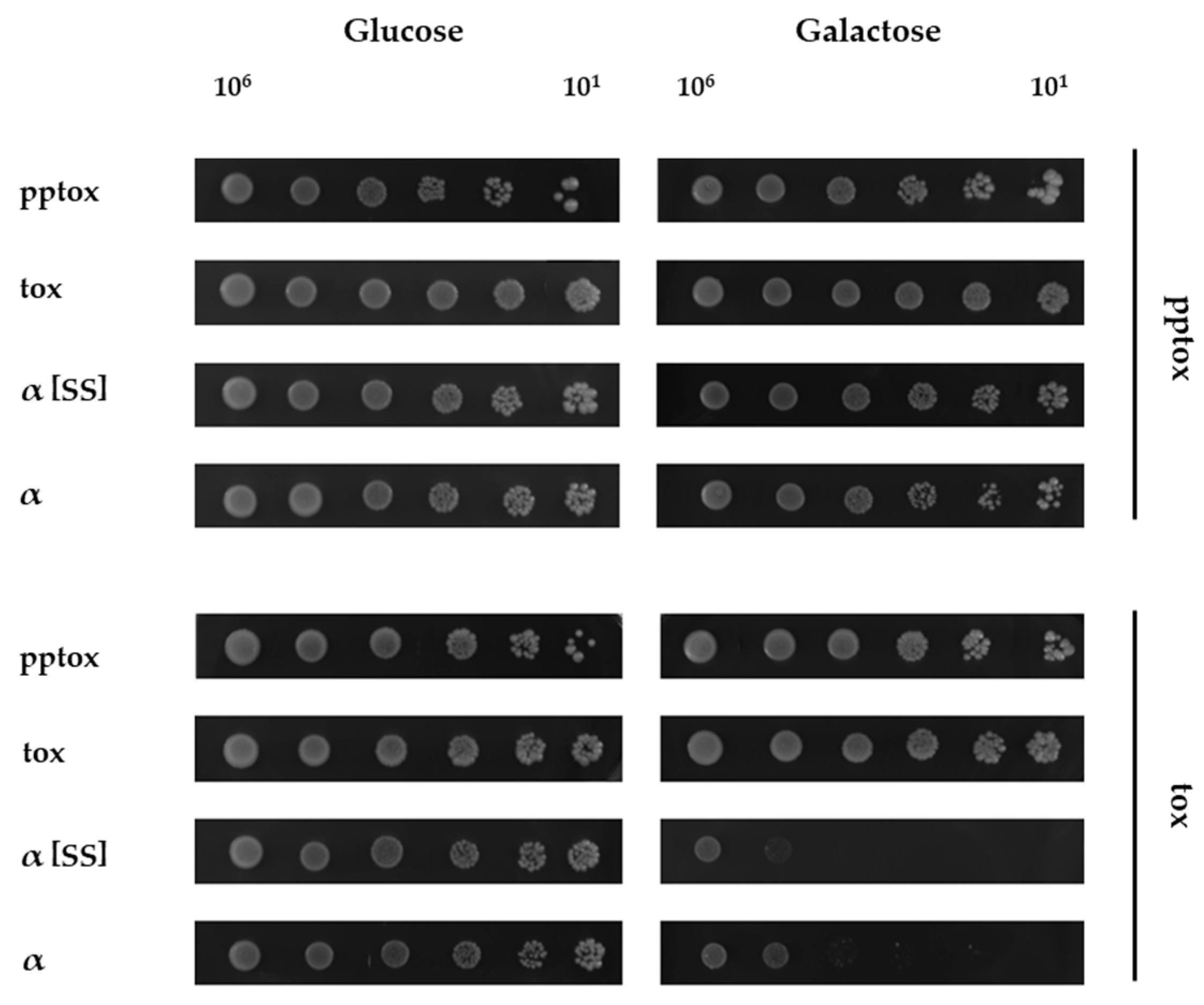 Toxins 09 00345 g003
