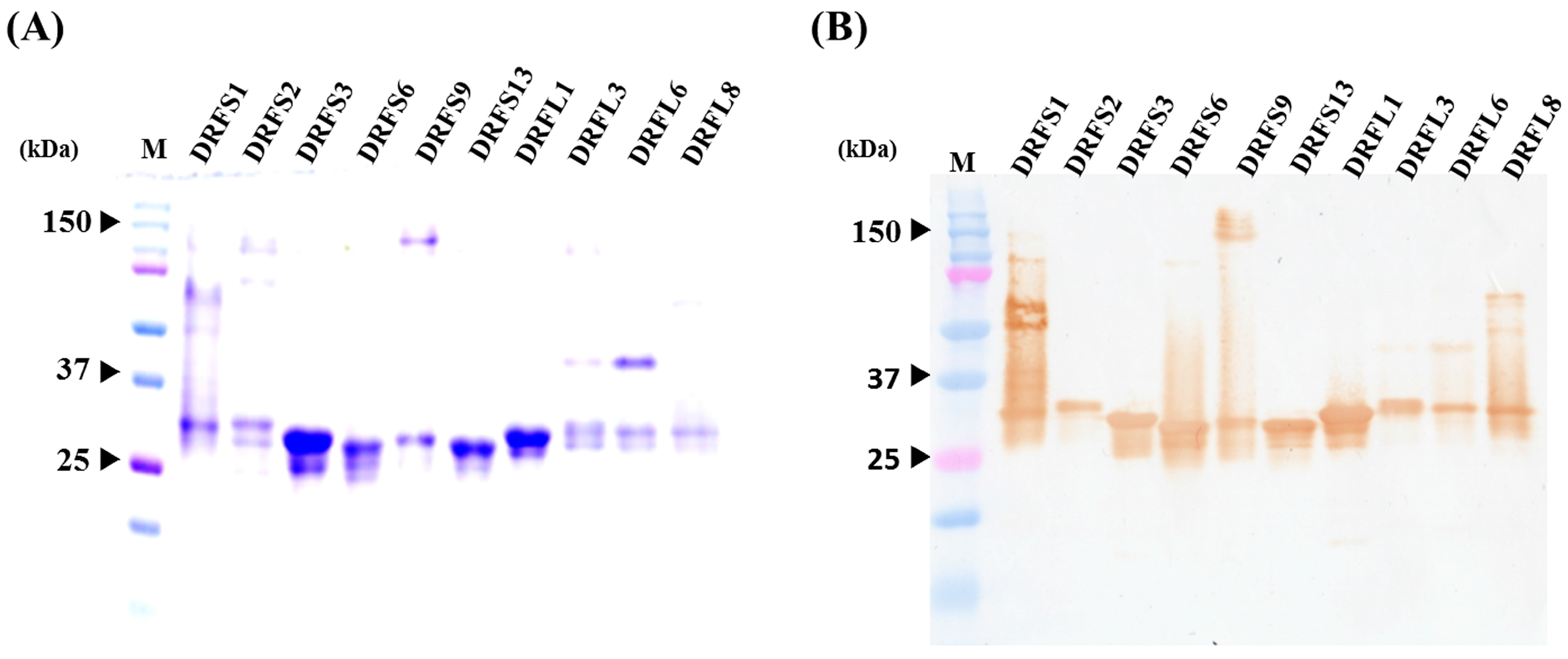 Toxins 09 00347 g004 550