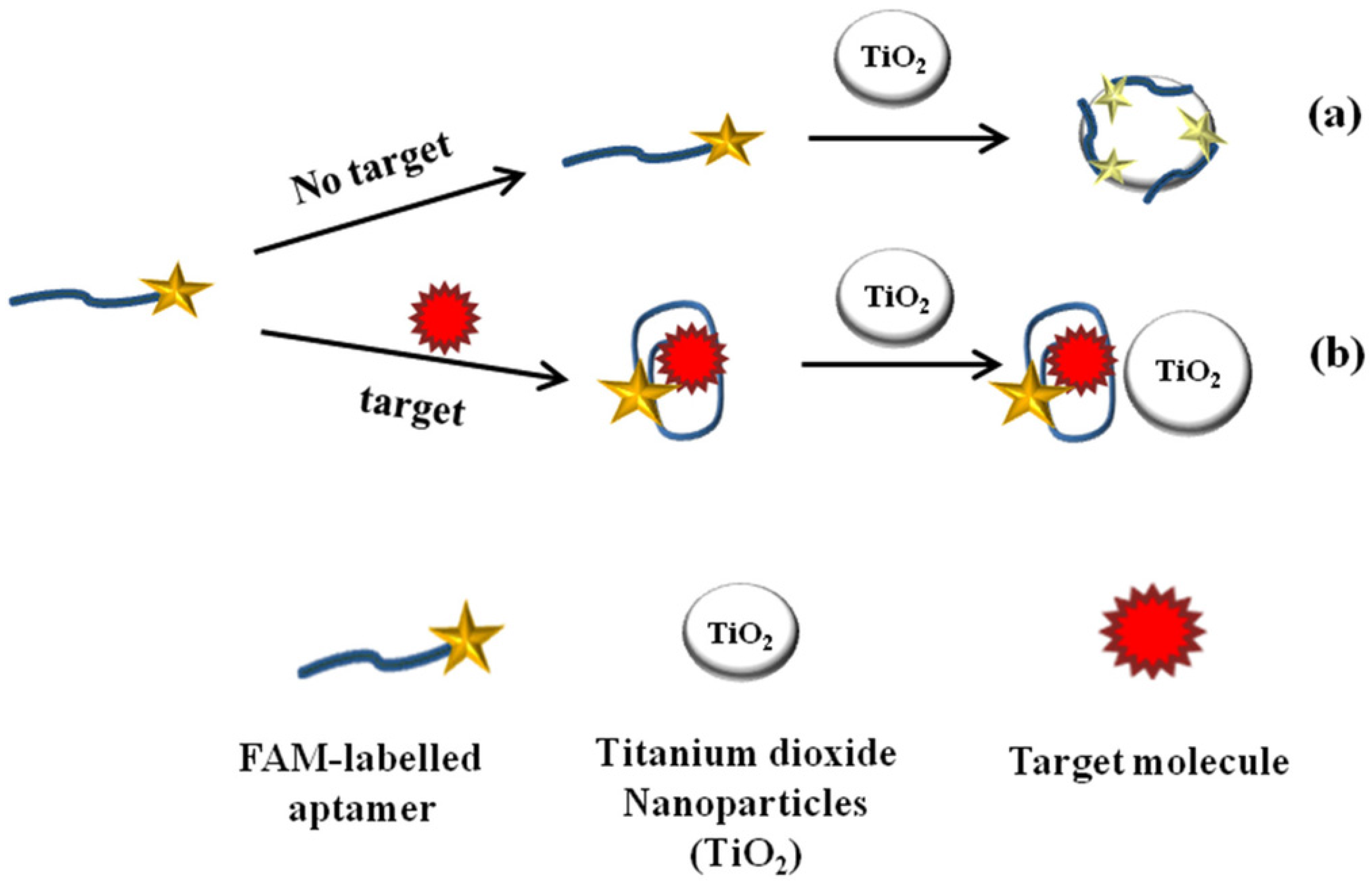 Toxins Free FullText NanoAptasensing in Mycotoxin Analysis