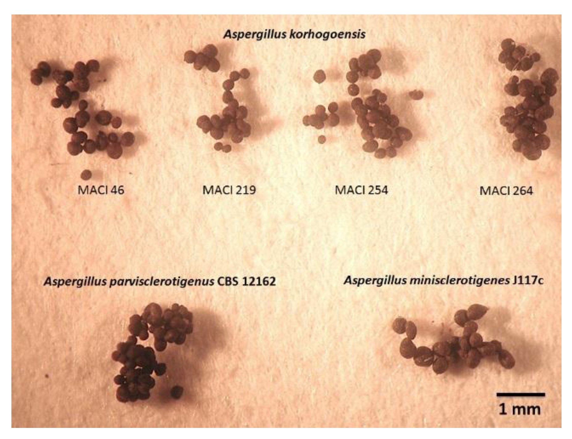 Toxins 09 00353 g005