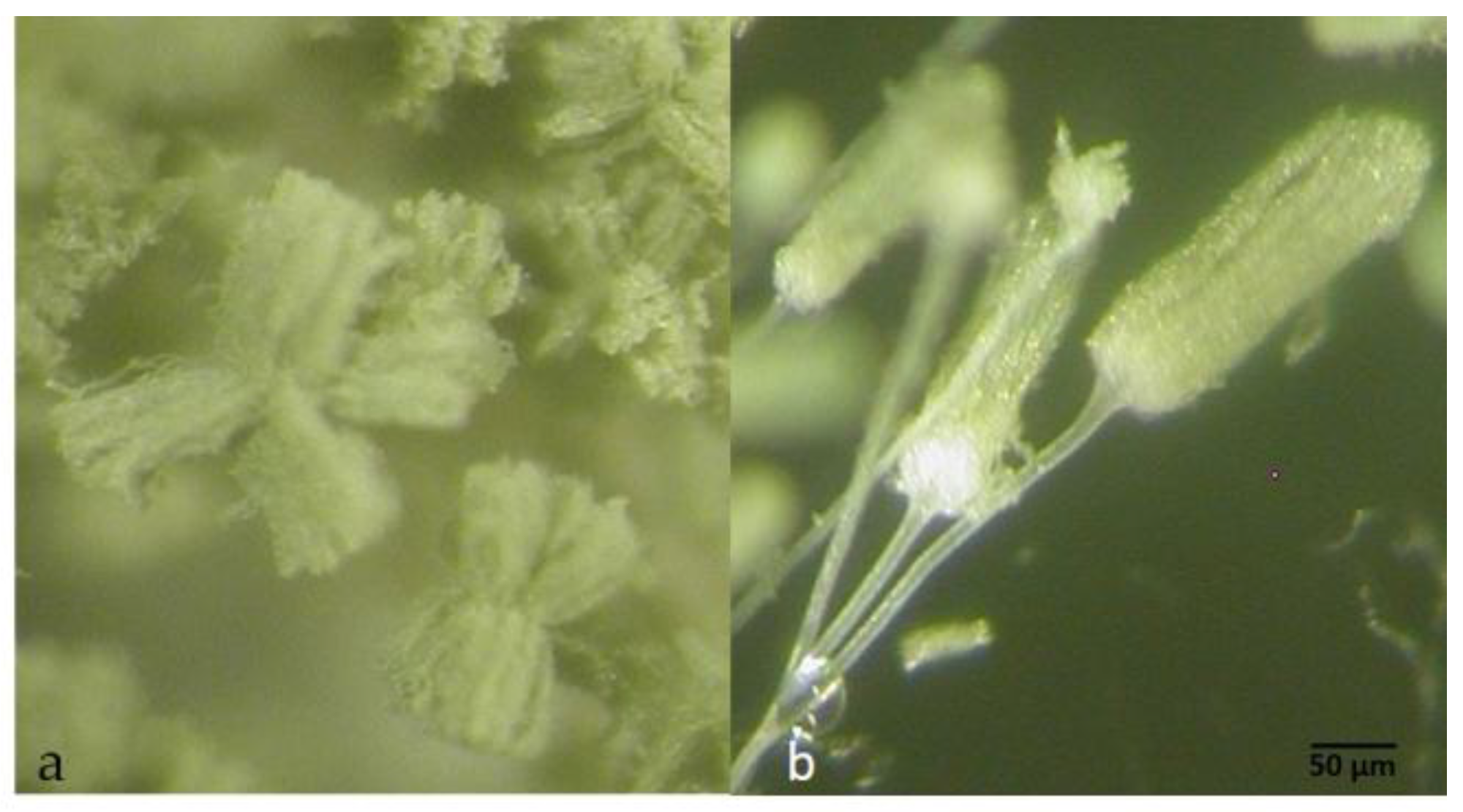 Toxins 09 00353 g006