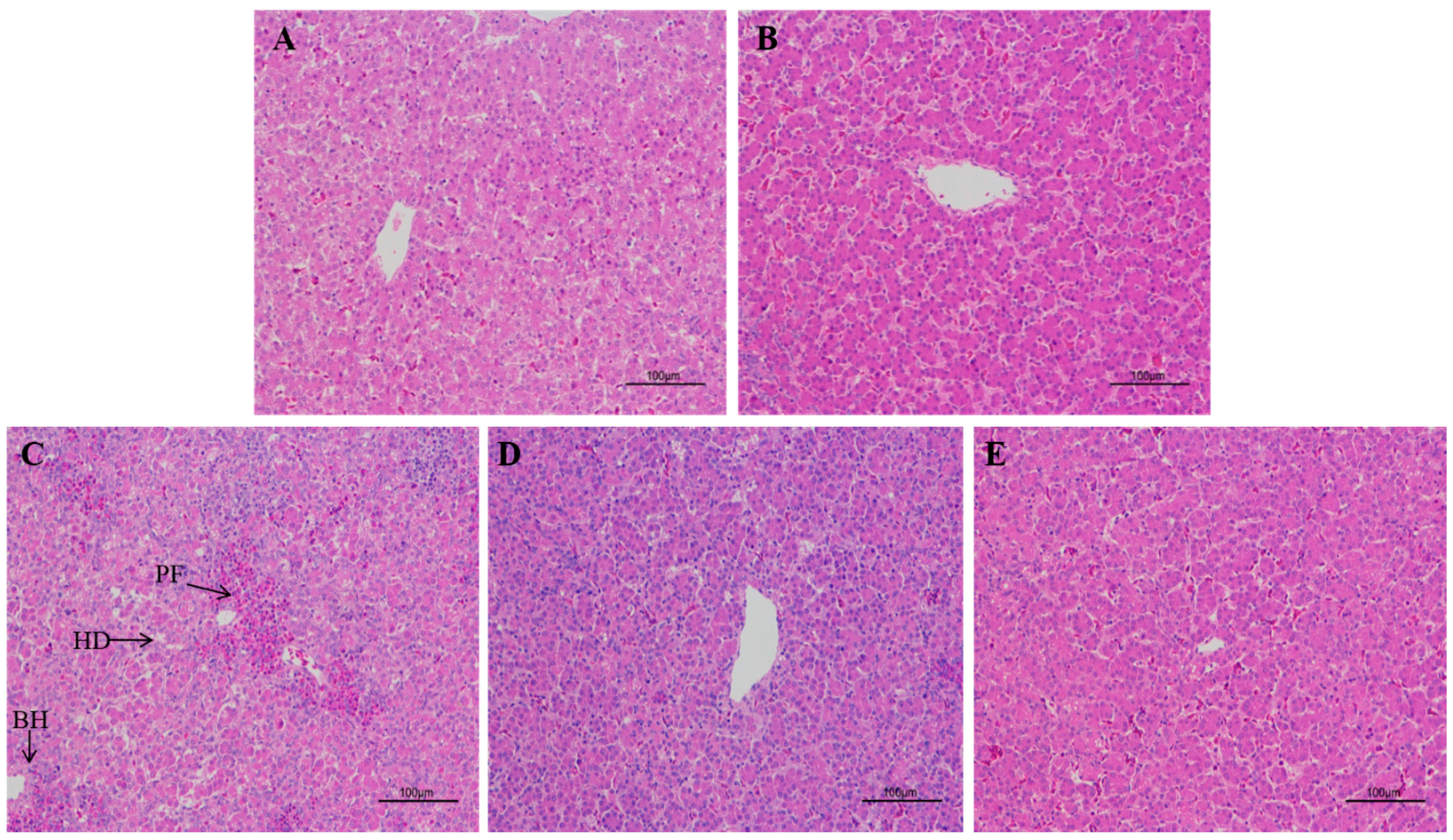 Toxins 09 00371 g002