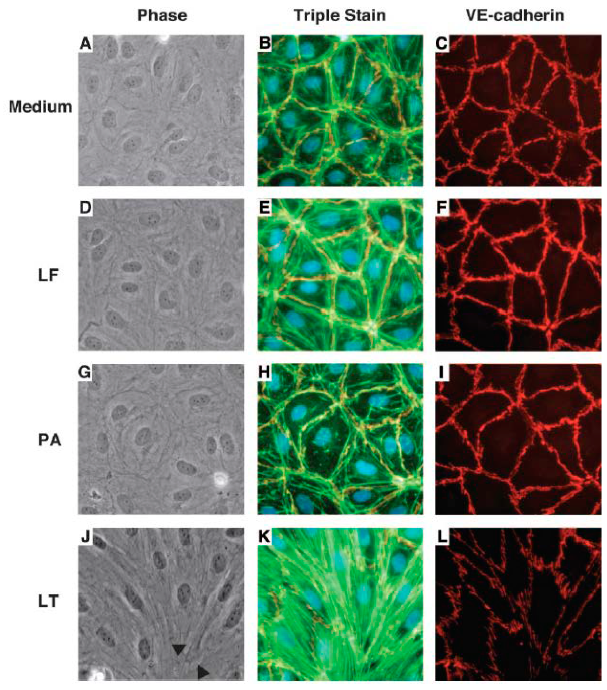 Toxins 09 00394 g003 550