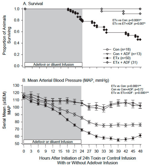 The Potential Pathogenic Contributions of Endothelial