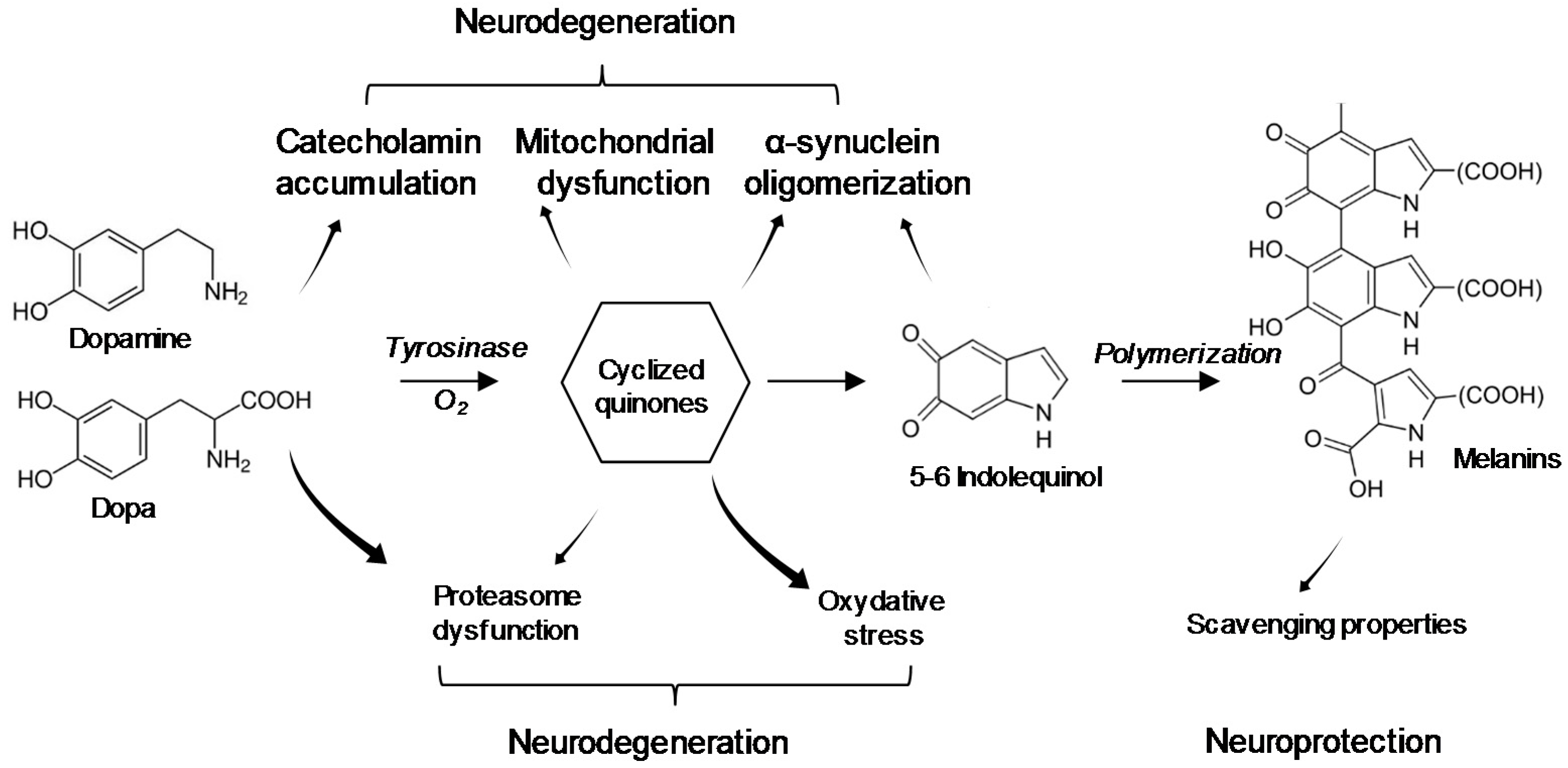Toxins 10 00006 g003 550
