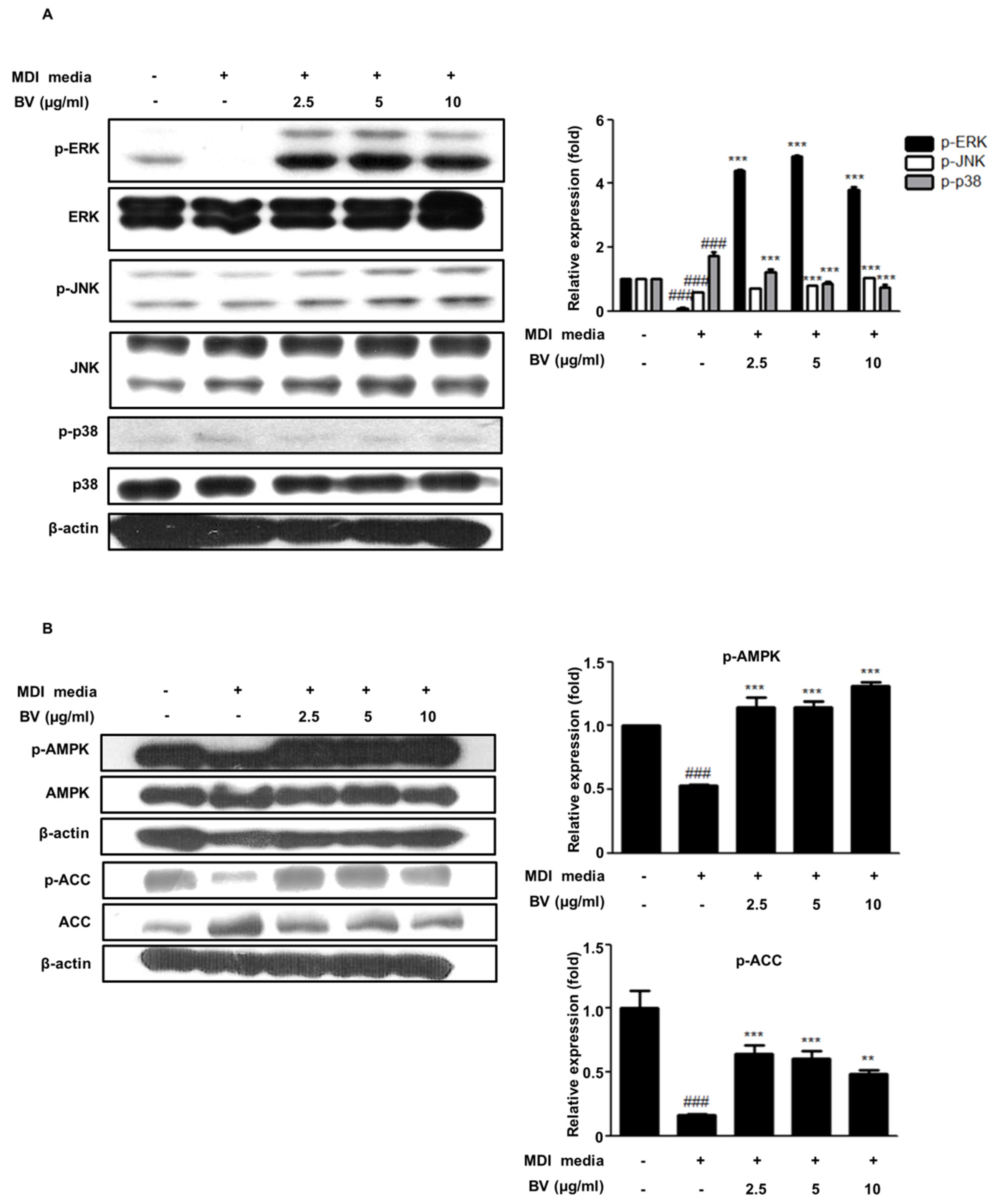 Toxins 10 00009 g003
