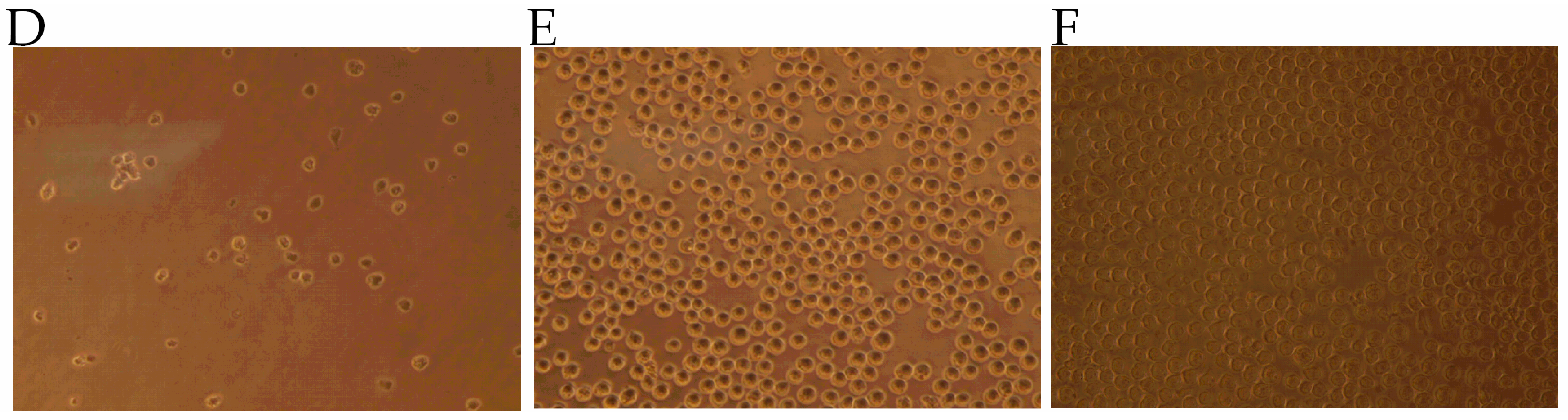 Toxins 10 00010 g001b