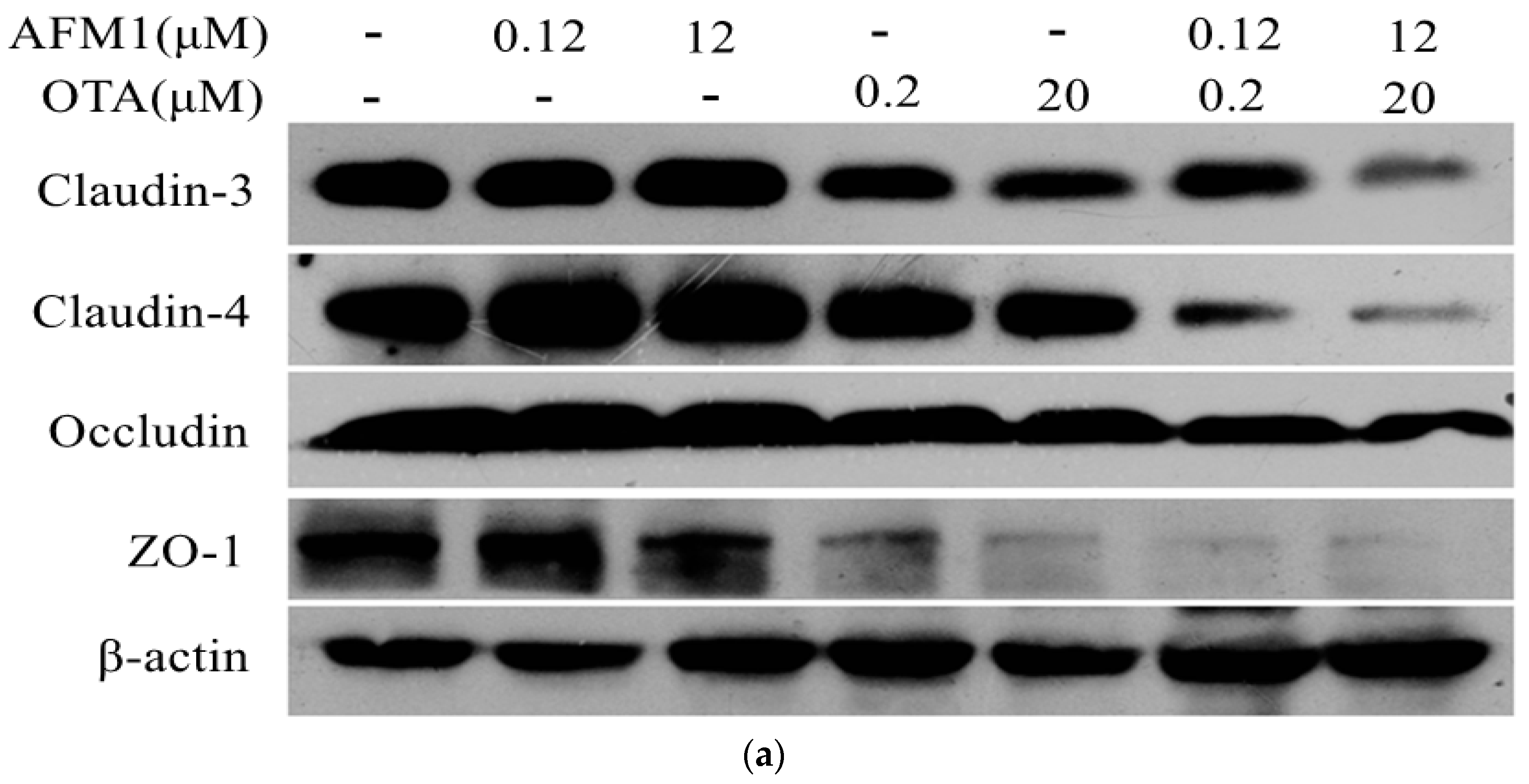 Toxins 10 00013 g003a