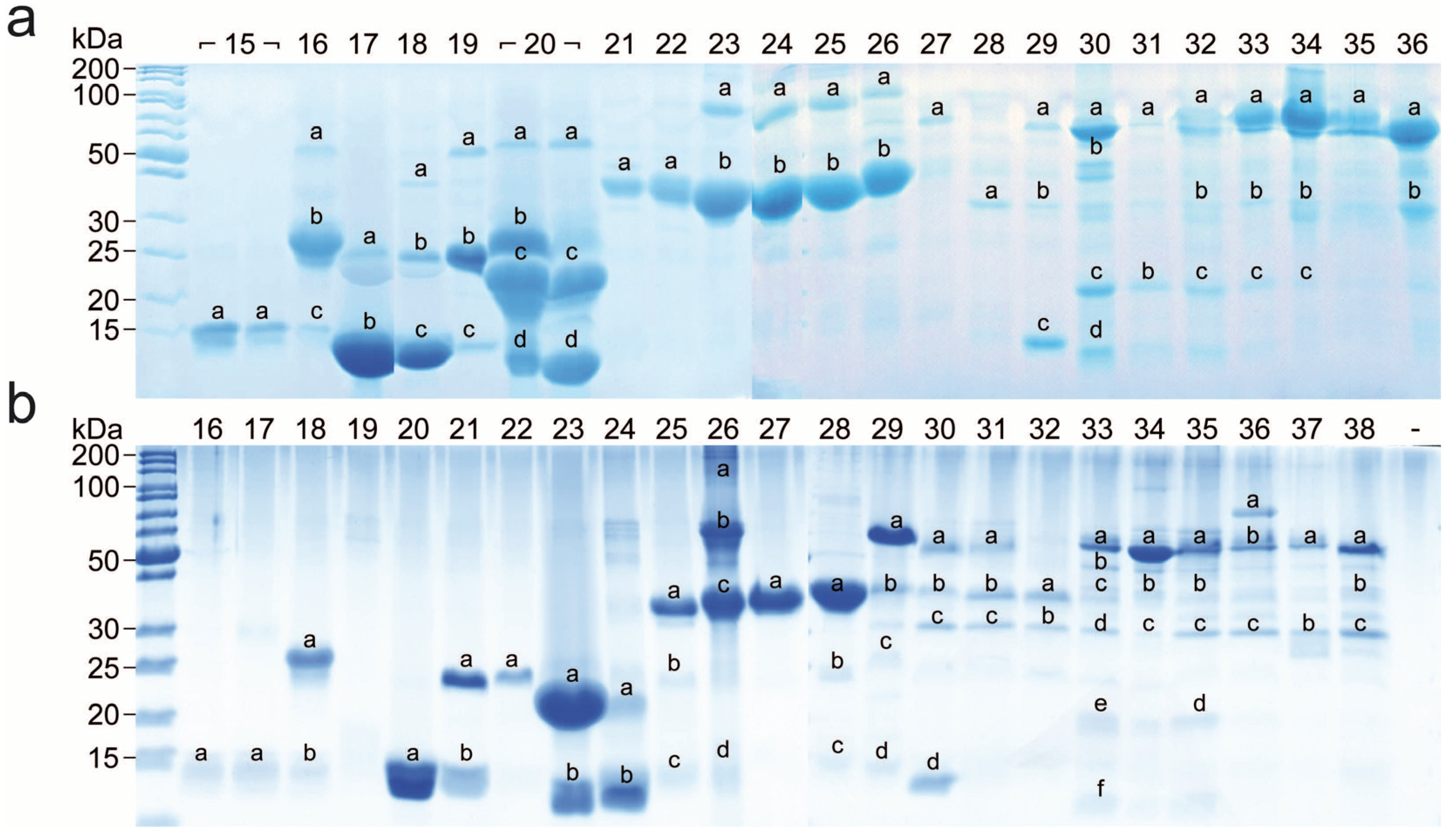 Toxins 10 00023 g005 Toxins 10 00023 g005