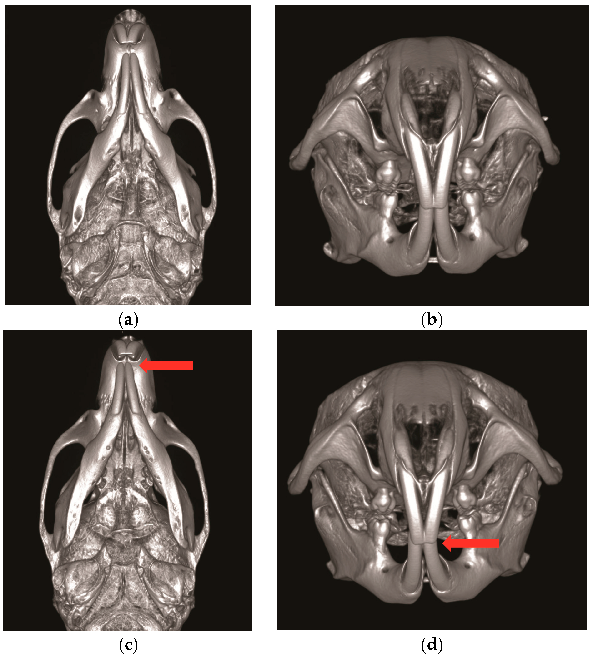 Toxins 10 00027 g002 Toxins 10 00027 g002