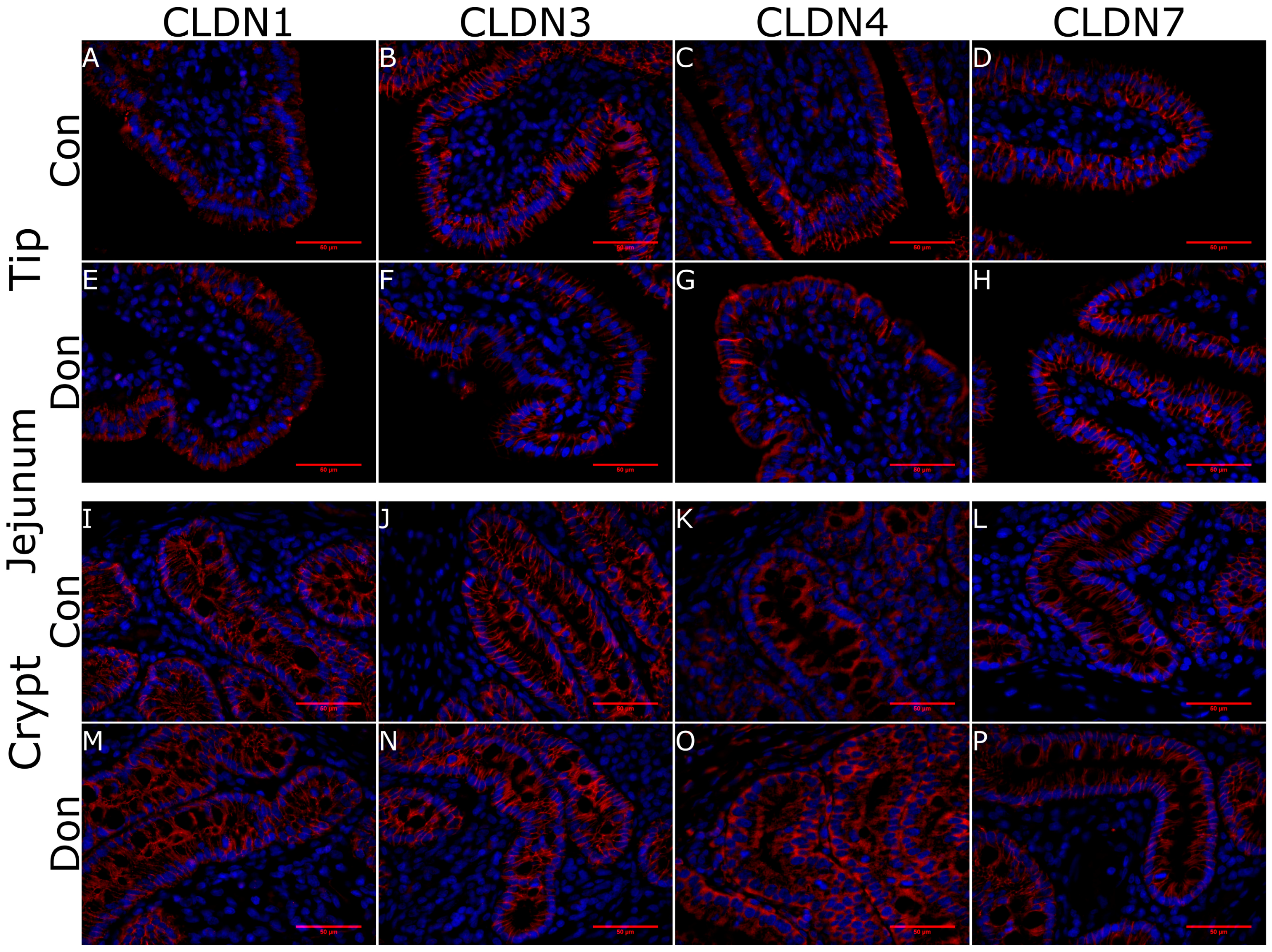 Toxins 10 00040 g005 Toxins 10 00040 g005