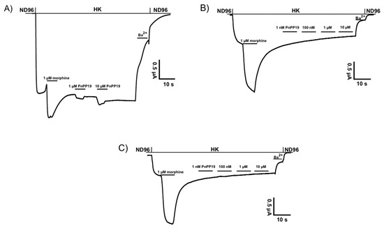 Toxins Free Full Text The Peptide Pnpp 19 A Spider Toxin Derivative Activates M Opioid Receptors And Modulates Calcium Channels Html