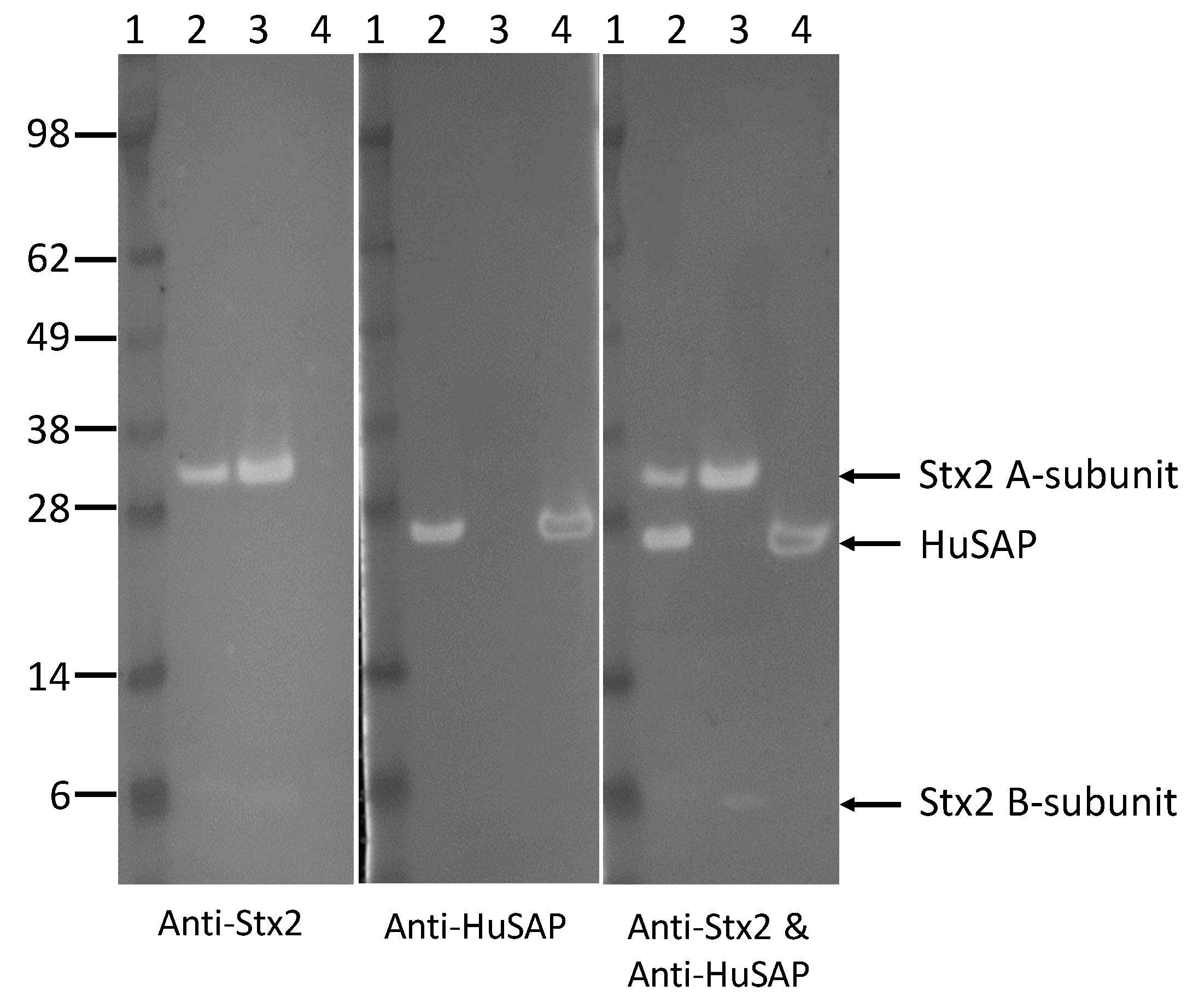 Toxins 10 00059 g004