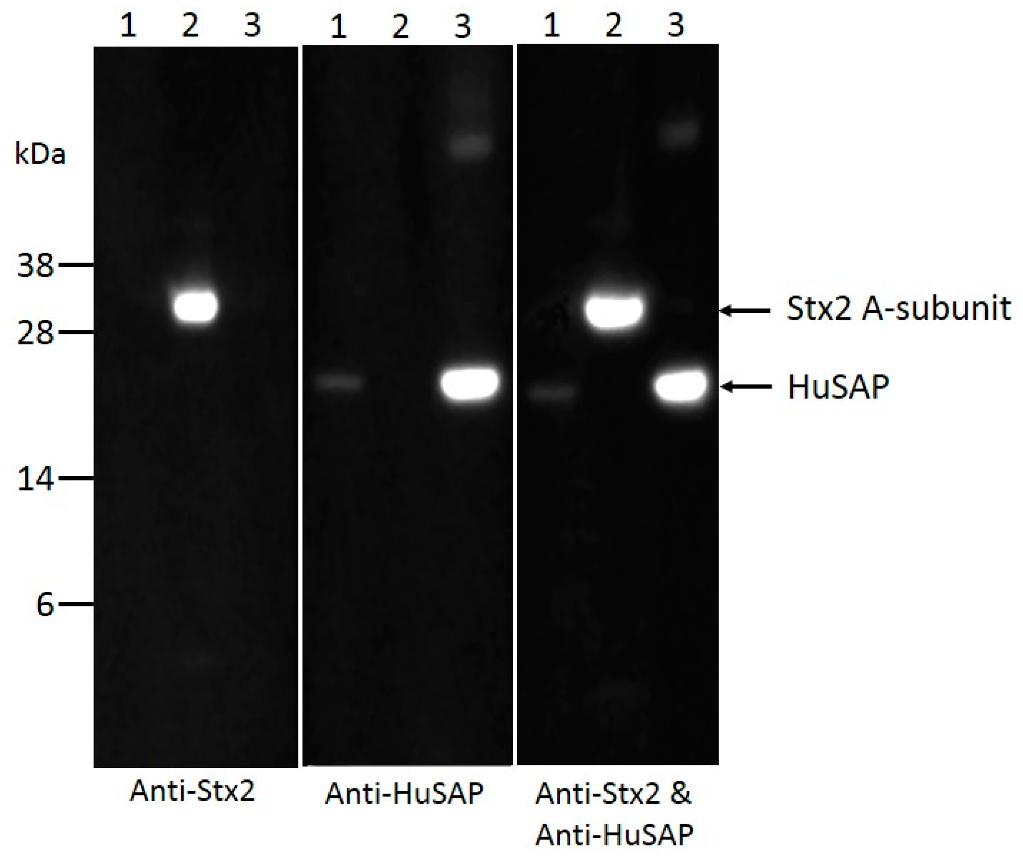 Toxins 10 00059 g005