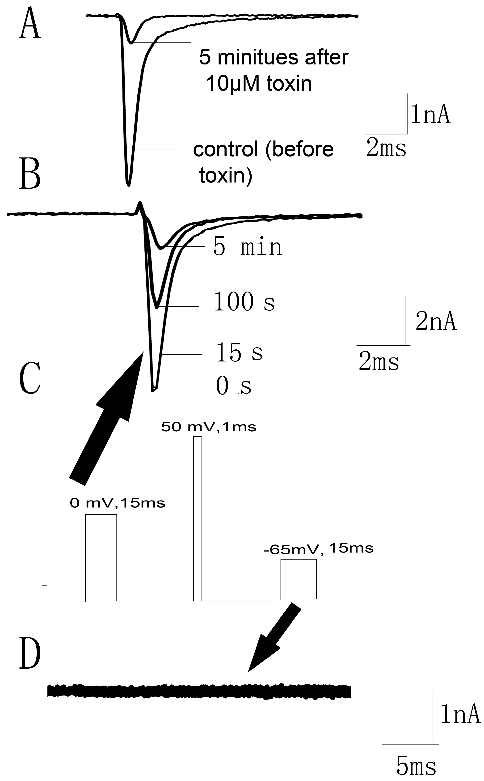 Toxins 10 00064 g005