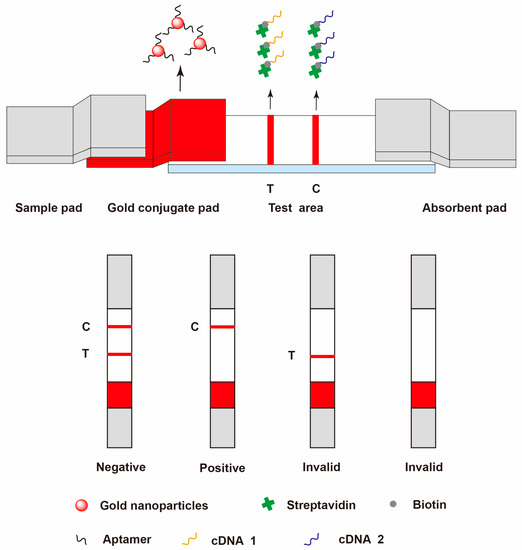 A Review of Current Methods for Analysis of Mycotoxins in A Review of Current Methods for Analysis of Mycotoxins in
