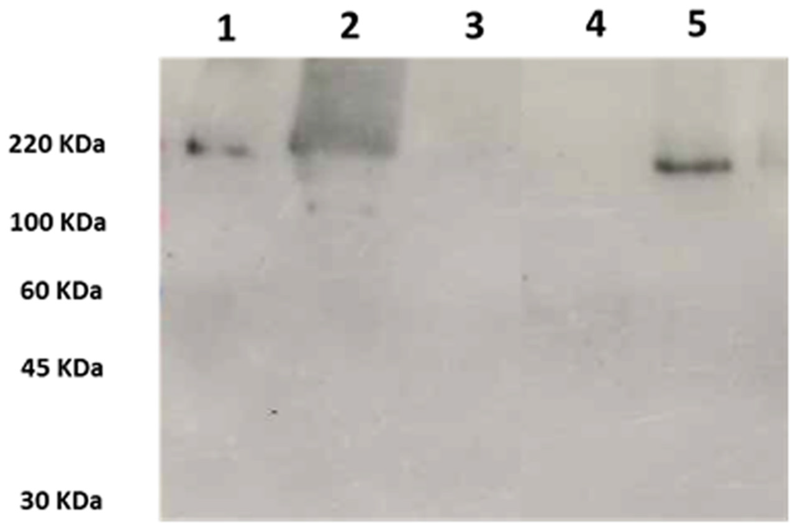 Toxins 10 00068 g002