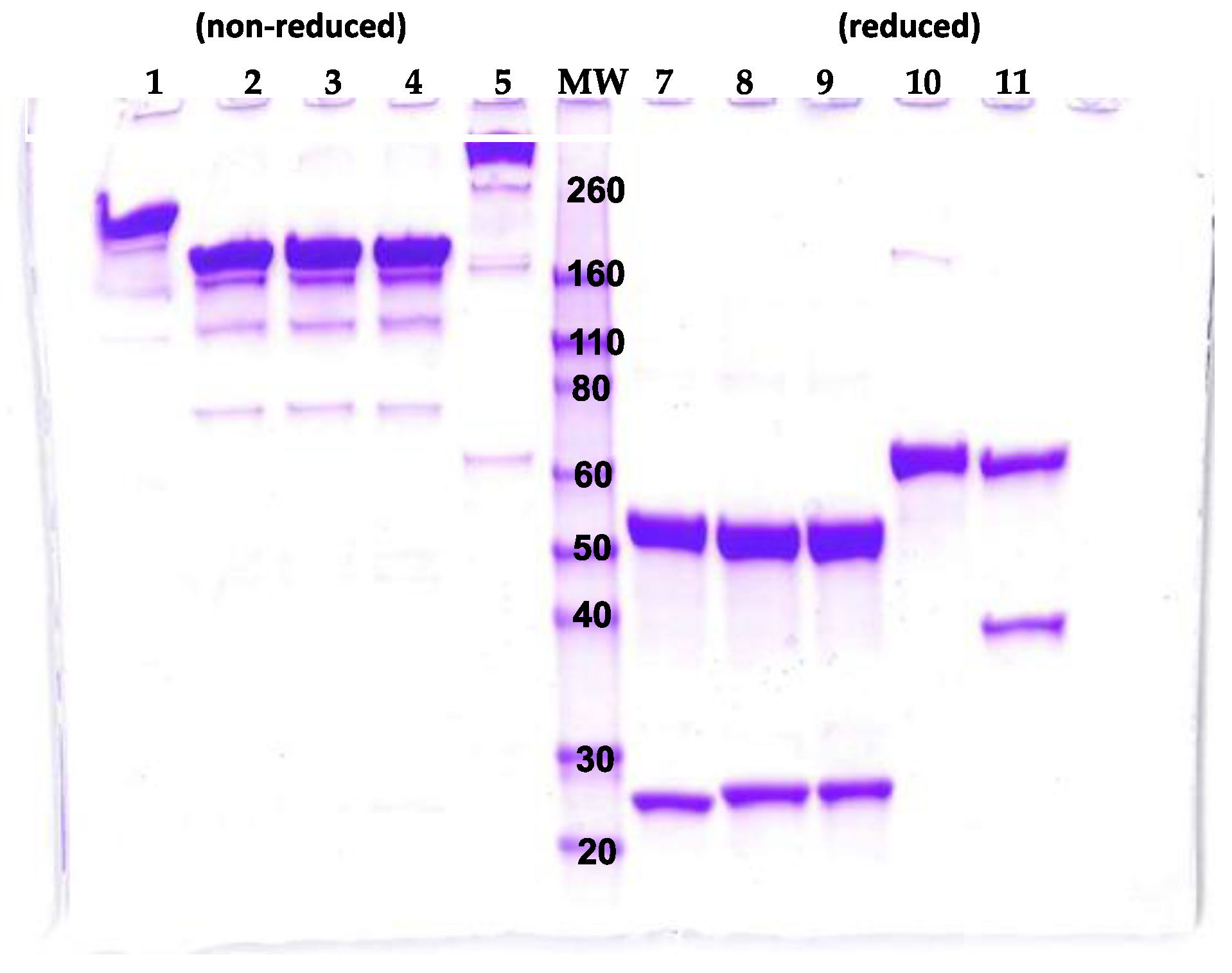 Toxins 10 00084 g002