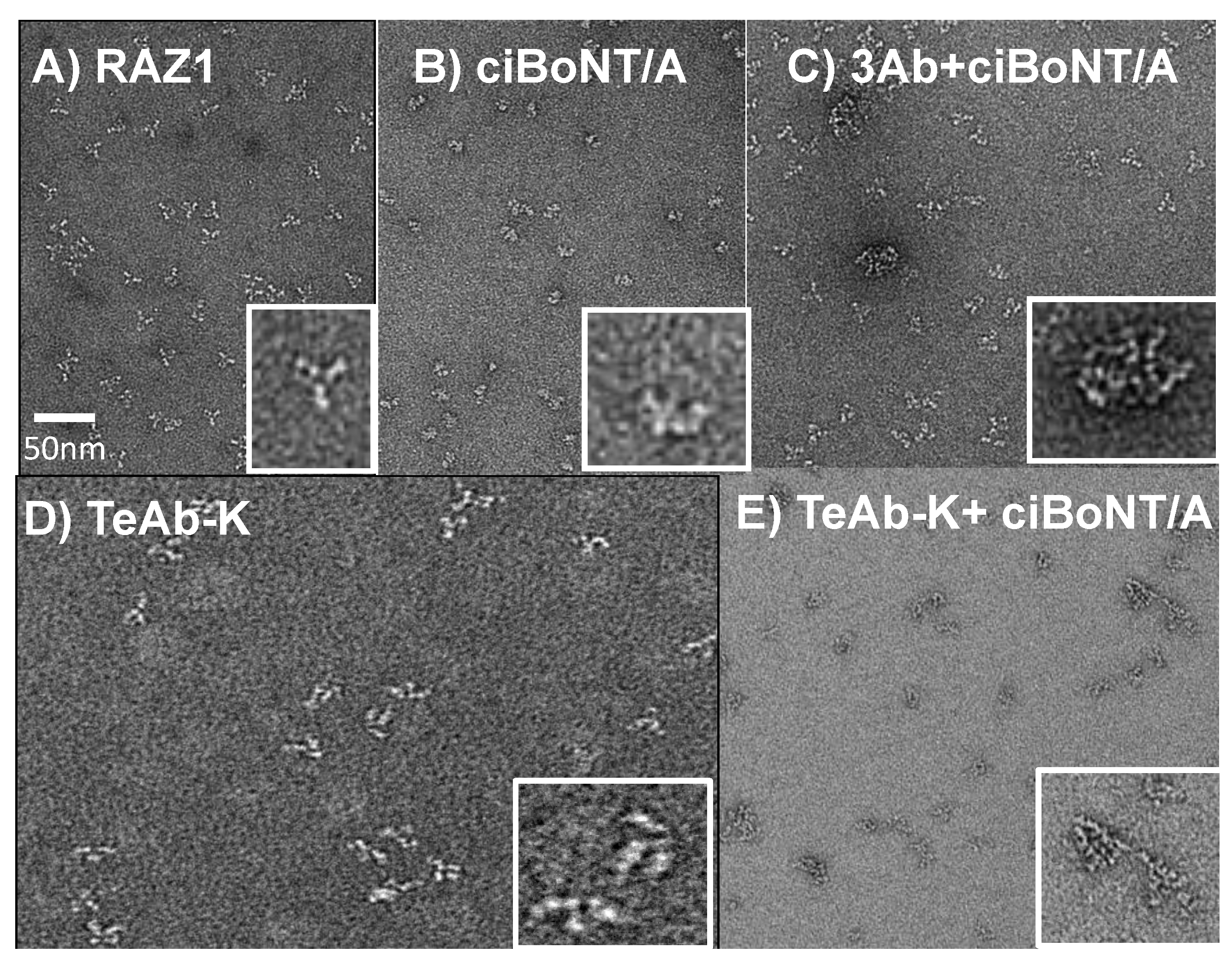 Toxins 10 00084 g005