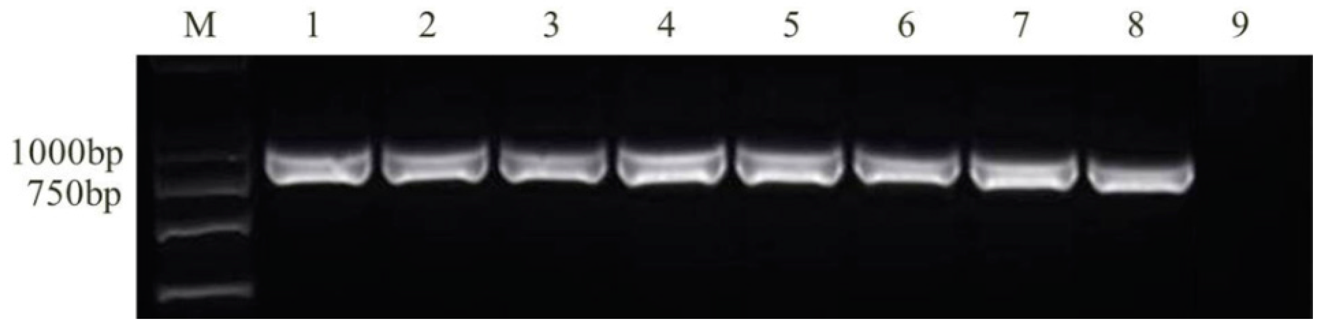 Toxins 10 00090 g005