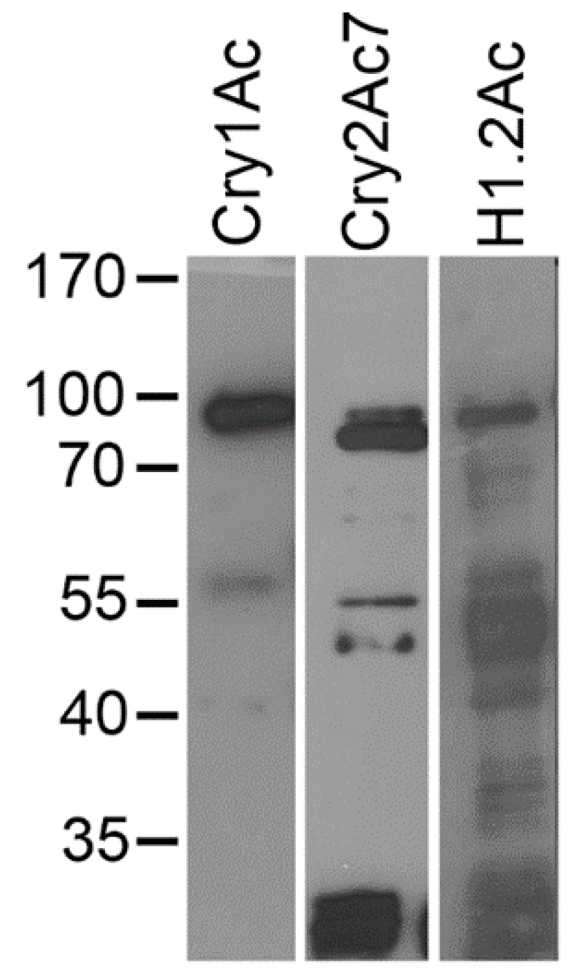 Toxins 10 00095 g005