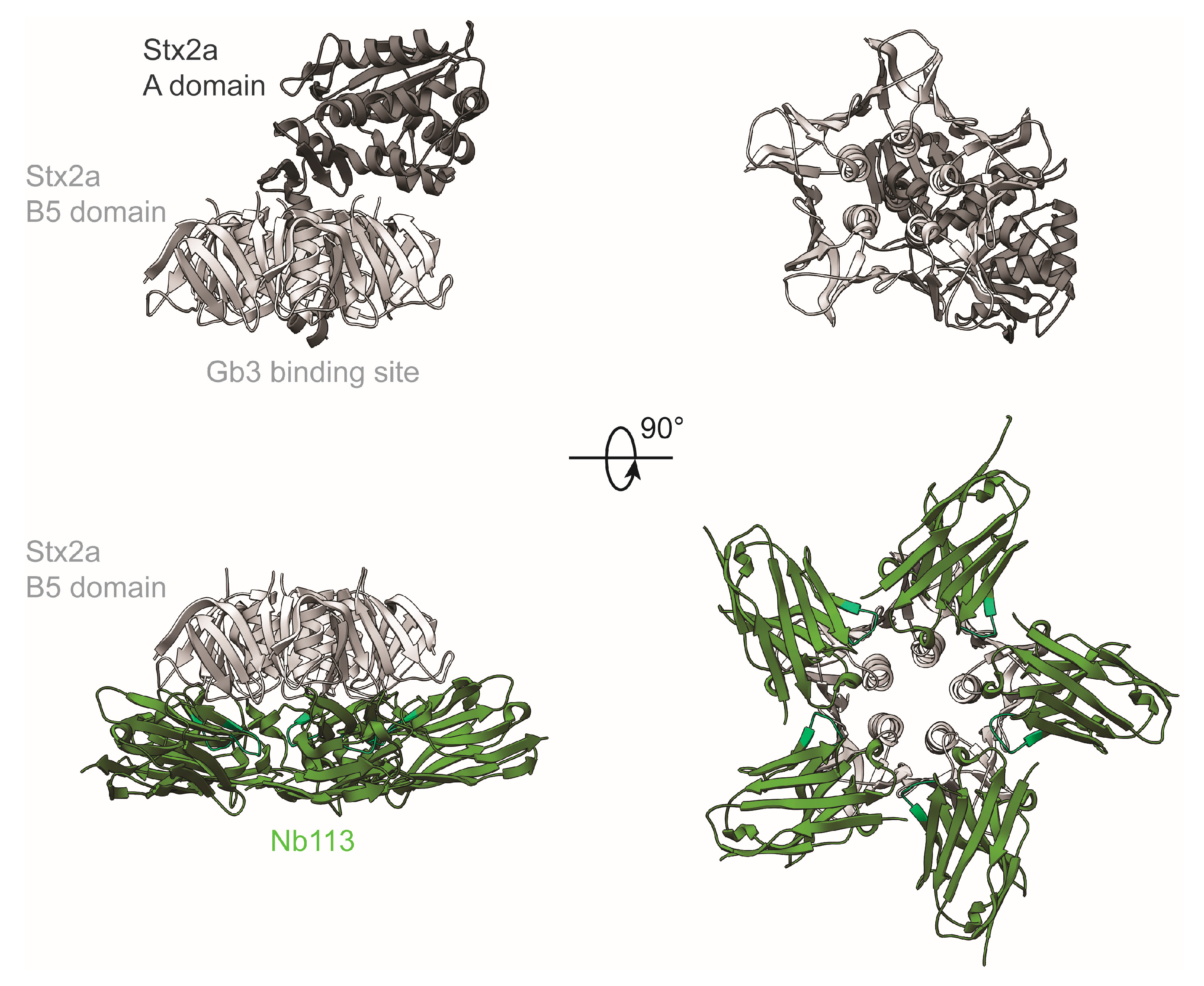Toxins 10 00108 g002 Toxins 10 00108 g002