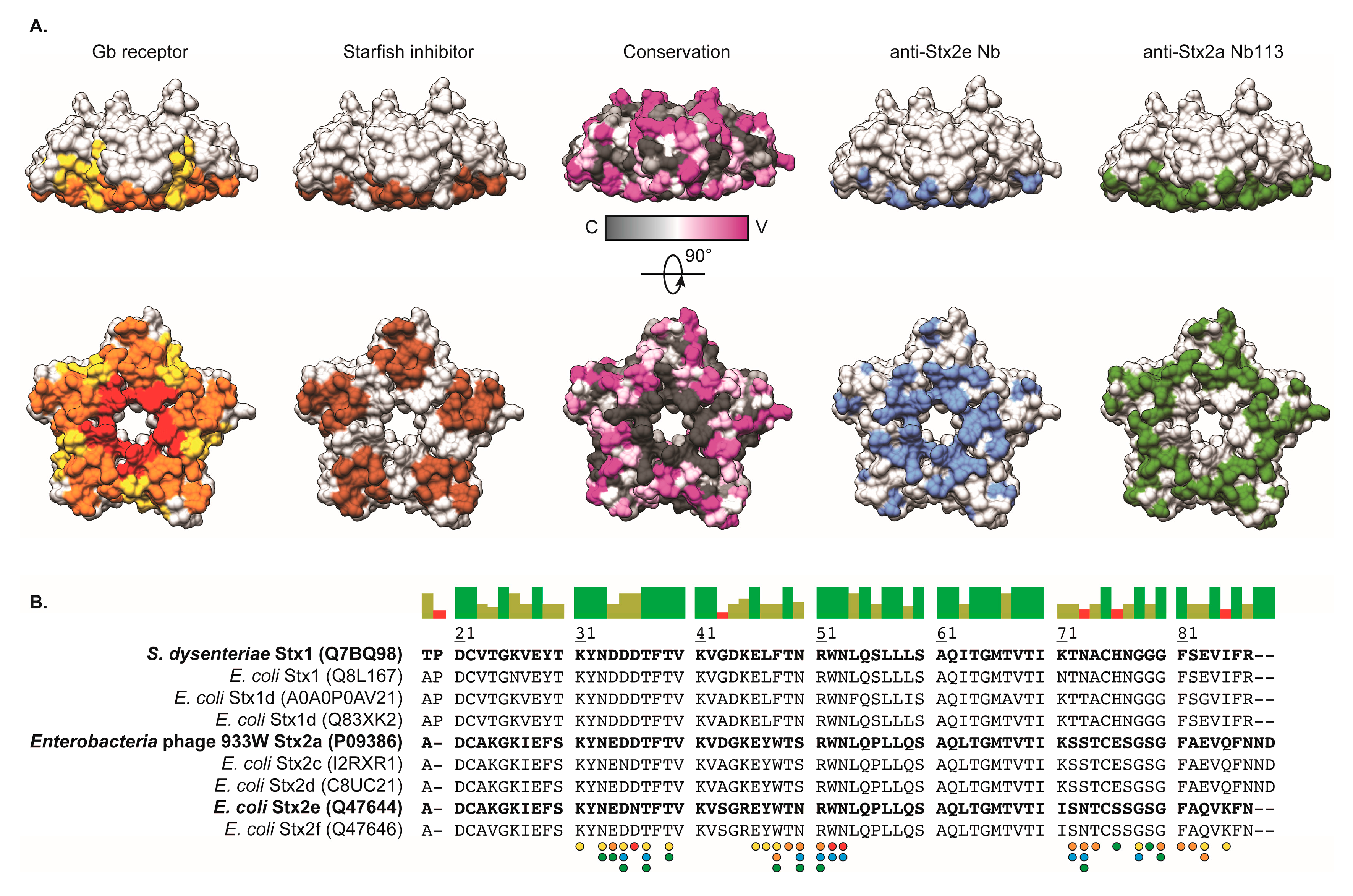 Toxins 10 00108 g004 Toxins 10 00108 g004