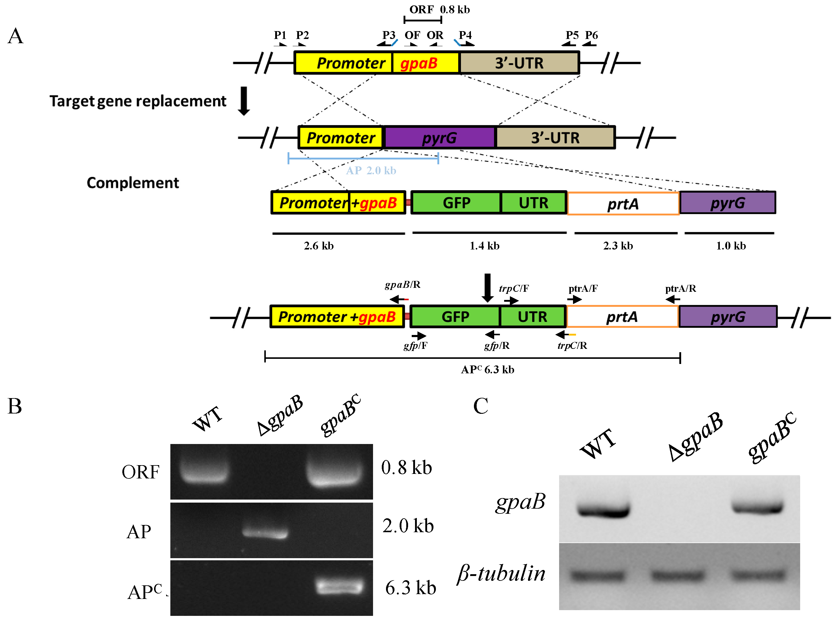 Toxins 10 00117 g002 Toxins 10 00117 g002