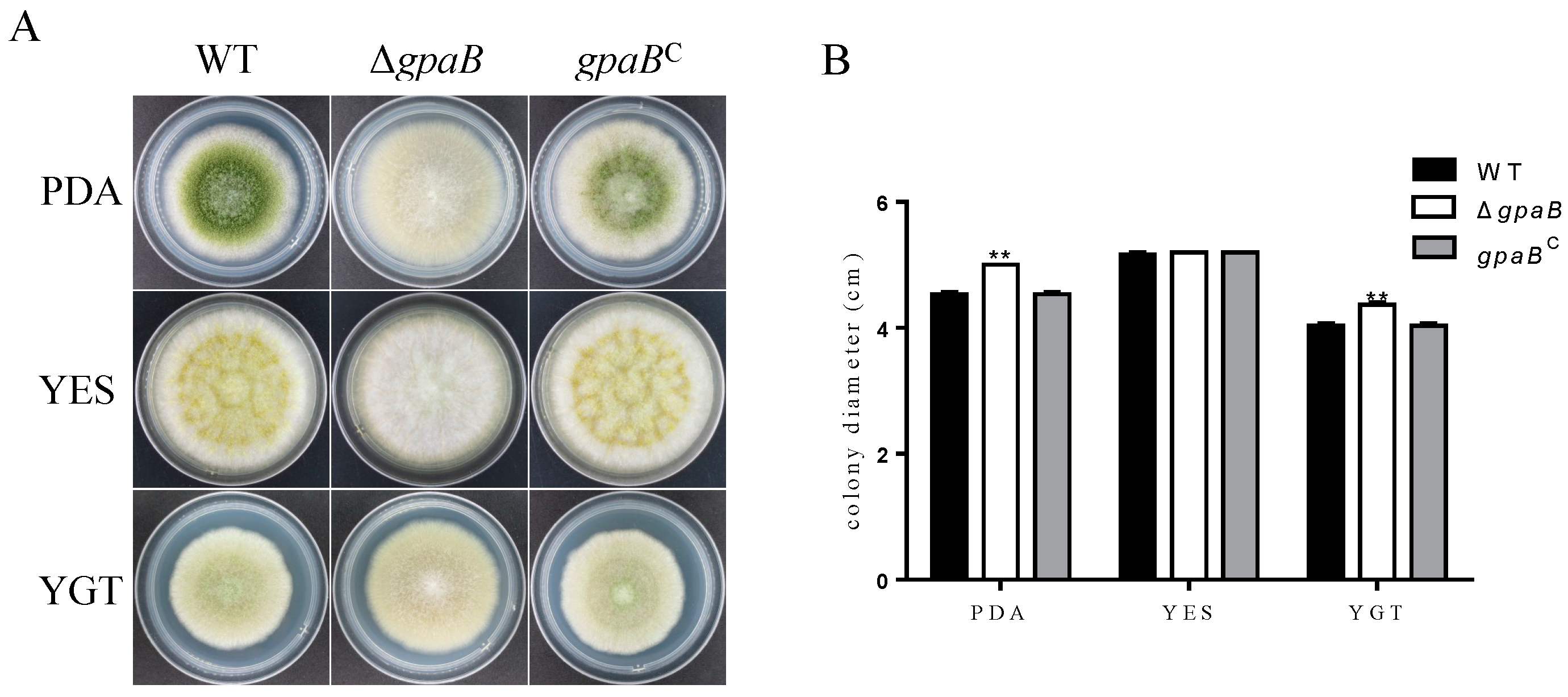Toxins 10 00117 g003 Toxins 10 00117 g003