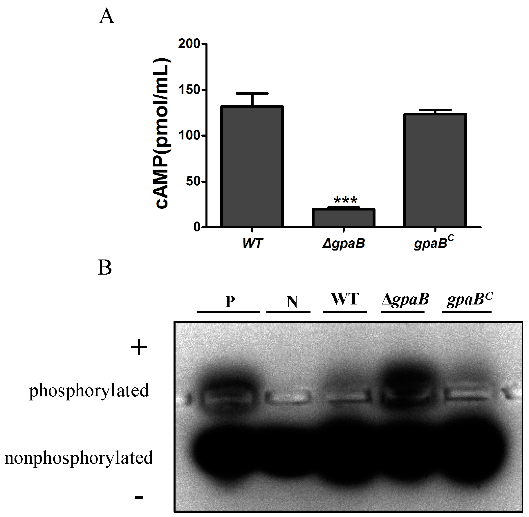 Toxins 10 00117 g008 Toxins 10 00117 g008