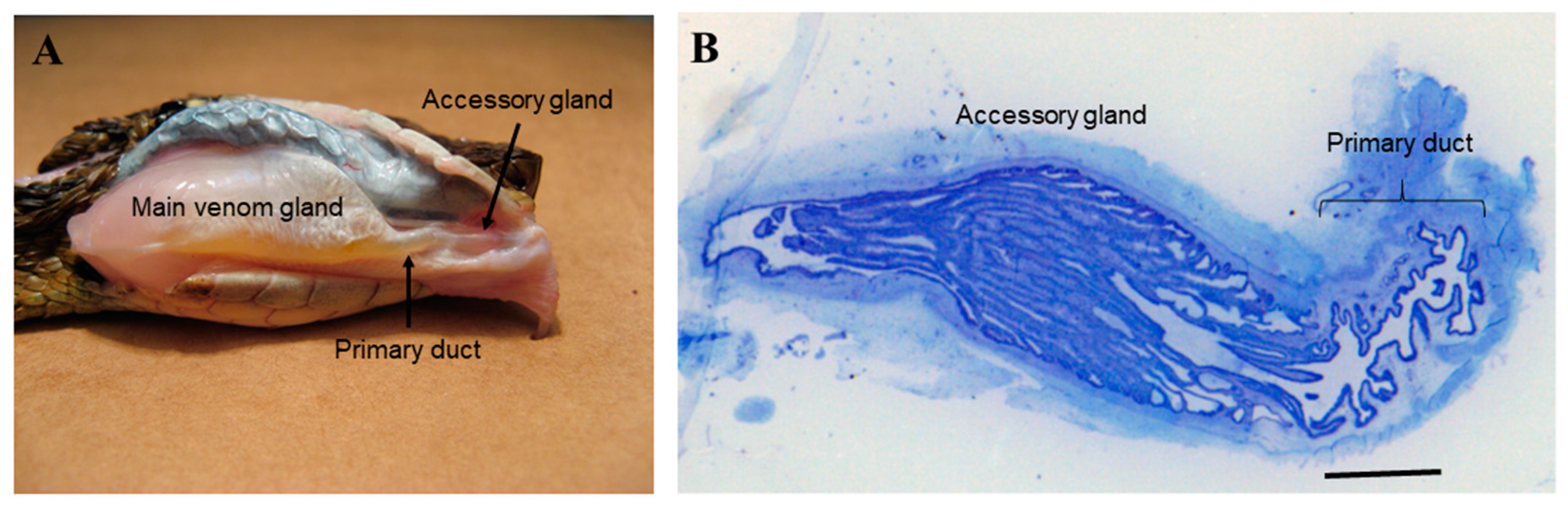 Toxins 10 00121 g001