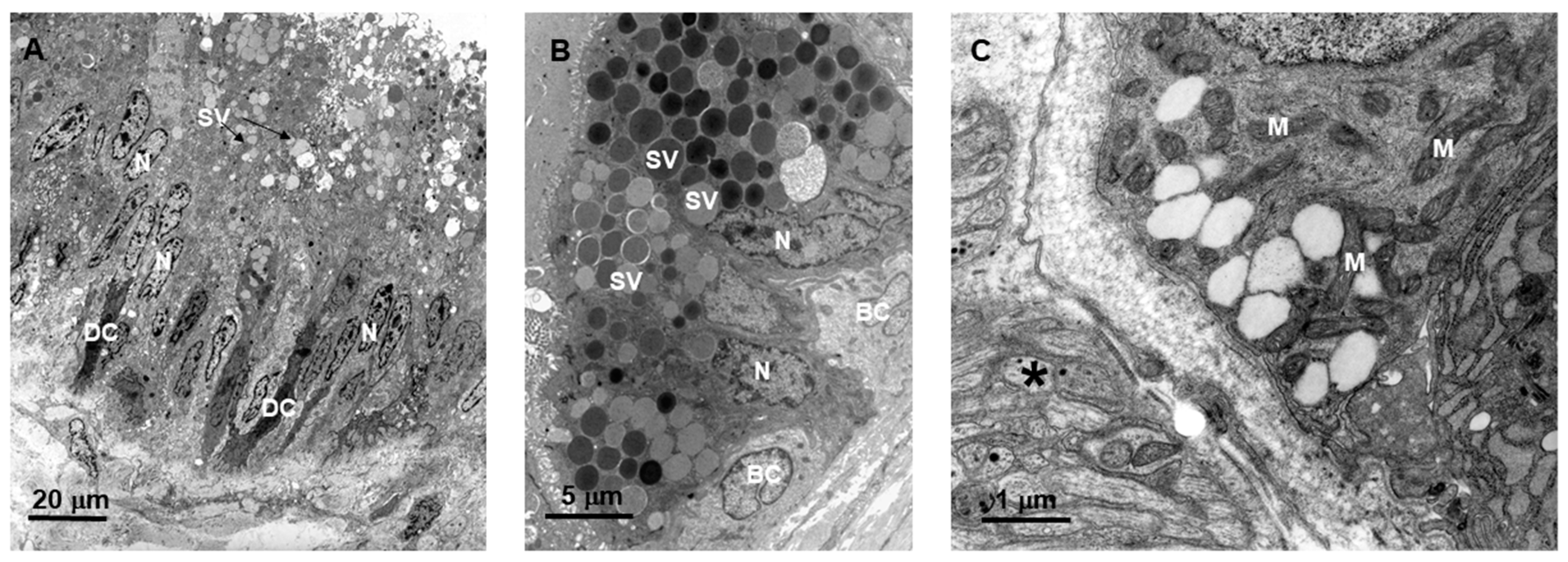 Toxins 10 00121 g002