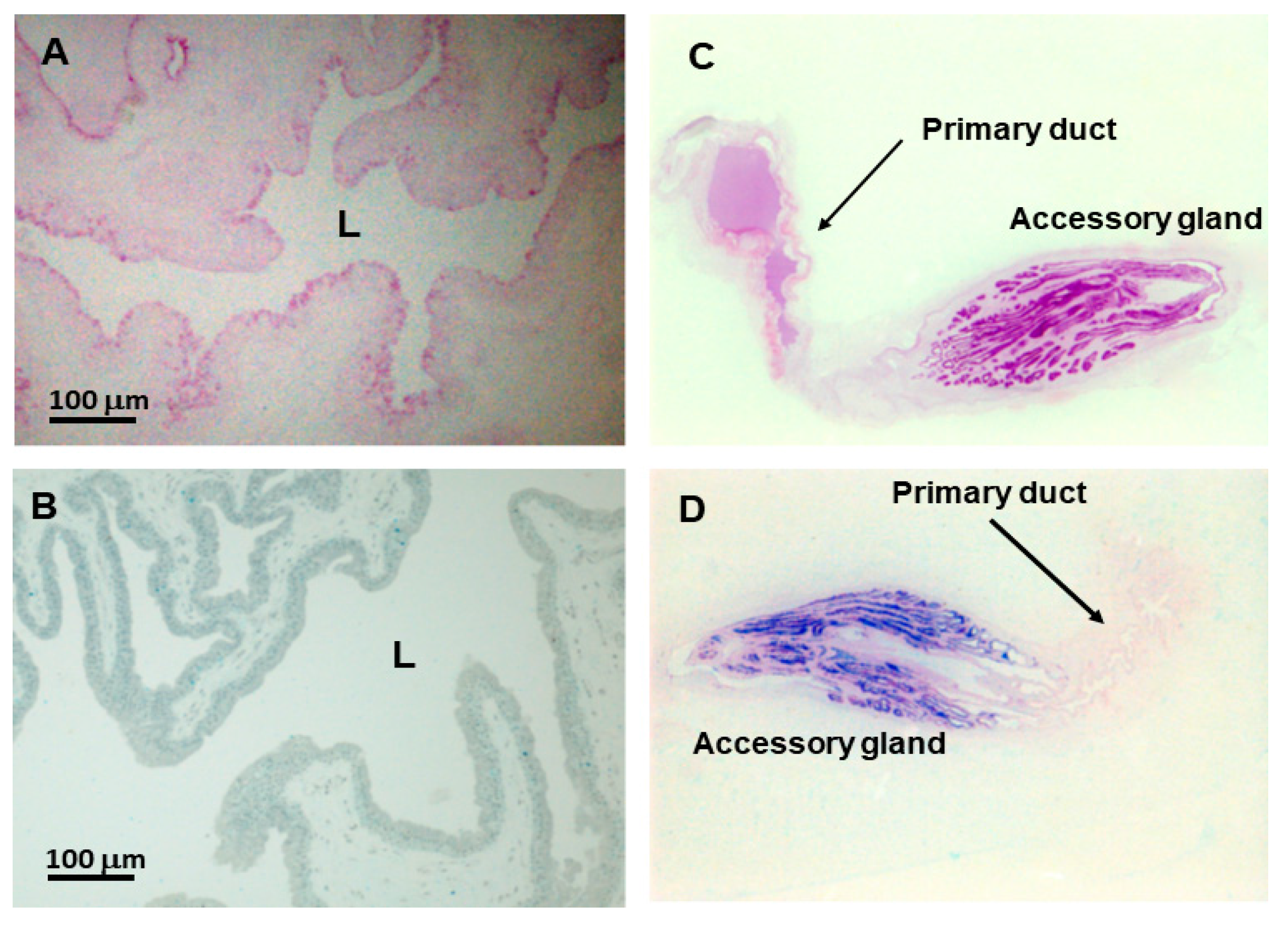 Toxins 10 00121 g003