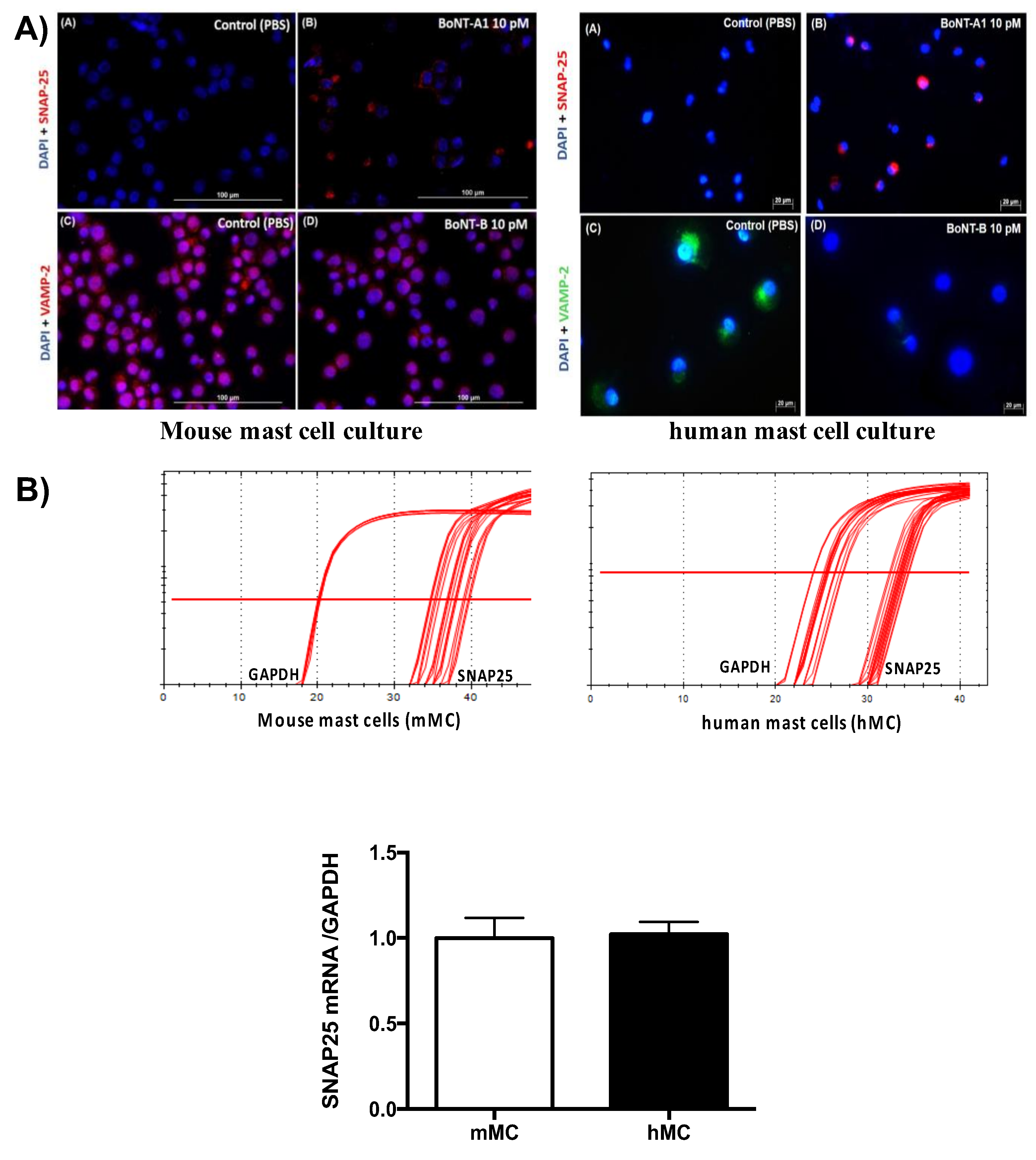 Toxins 10 00134 g005 Toxins 10 00134 g005