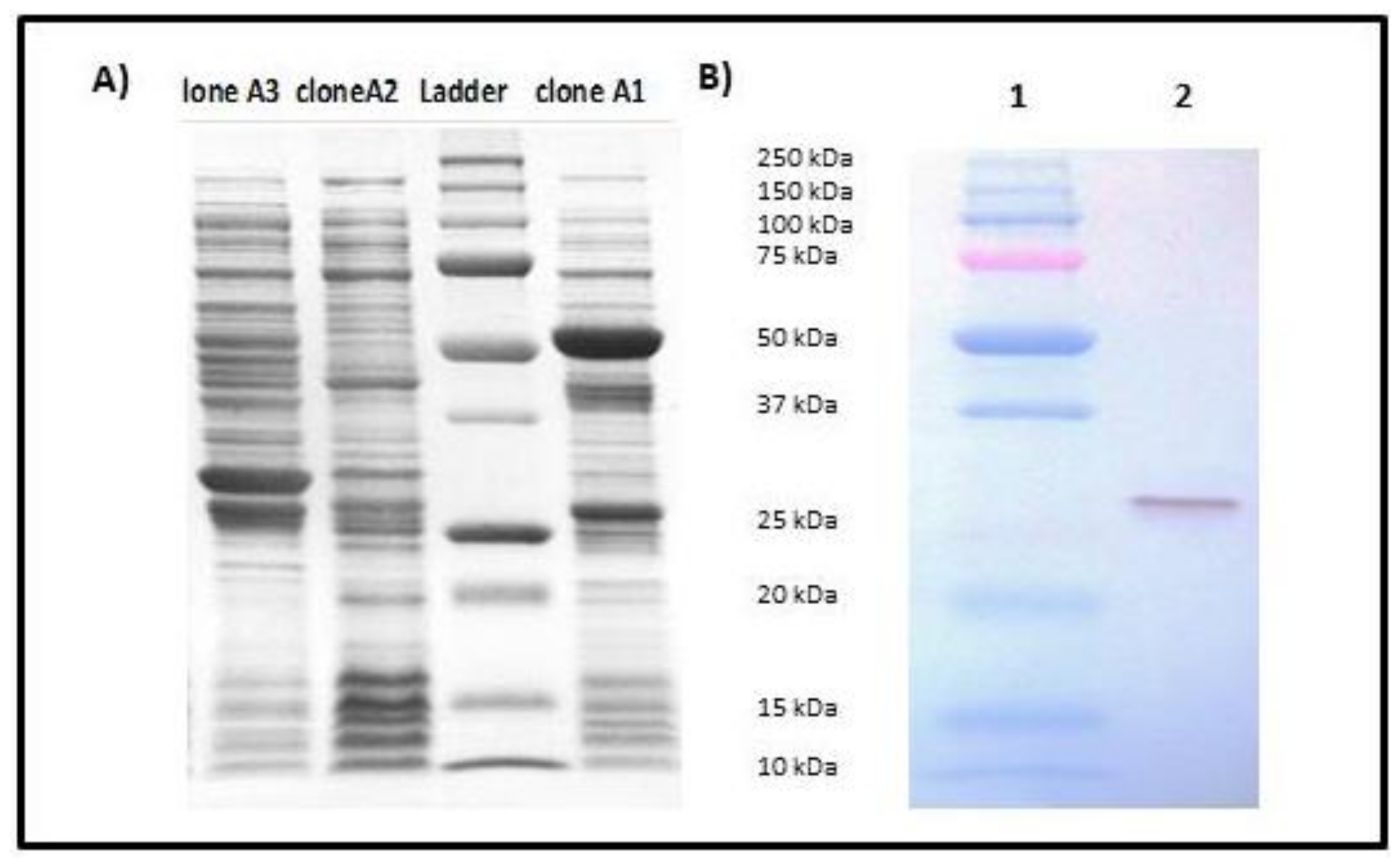 Toxins 10 00139 g004 Toxins 10 00139 g004