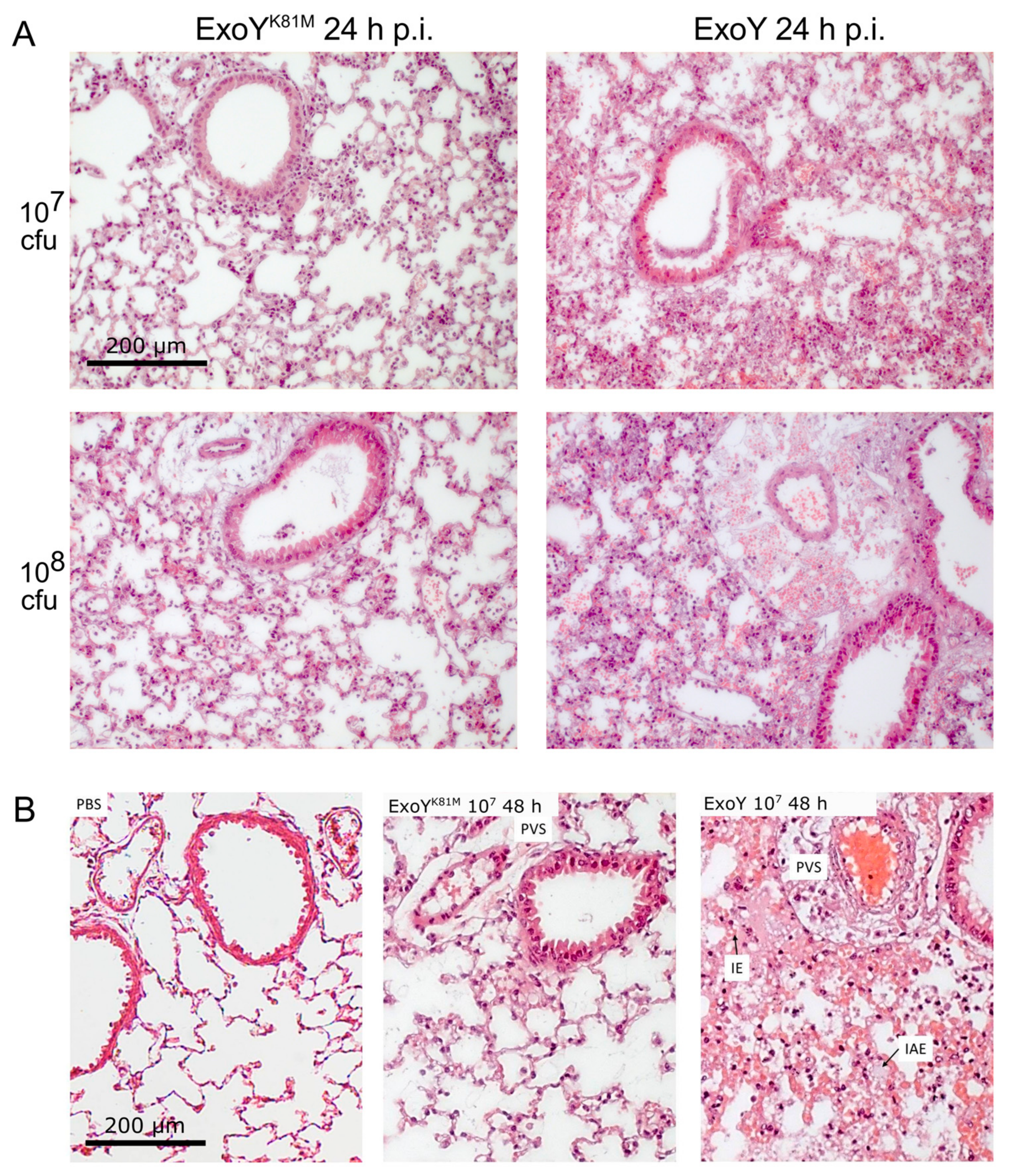 Toxins 10 00185 g002