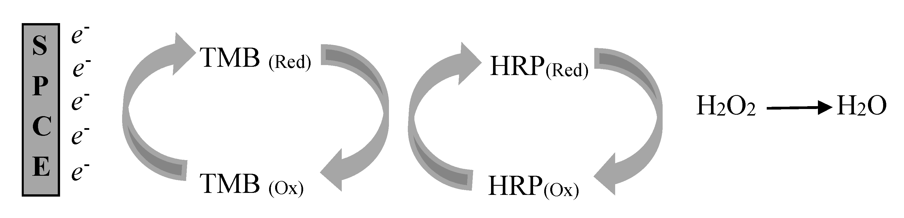 Toxins 10 00196 g006
