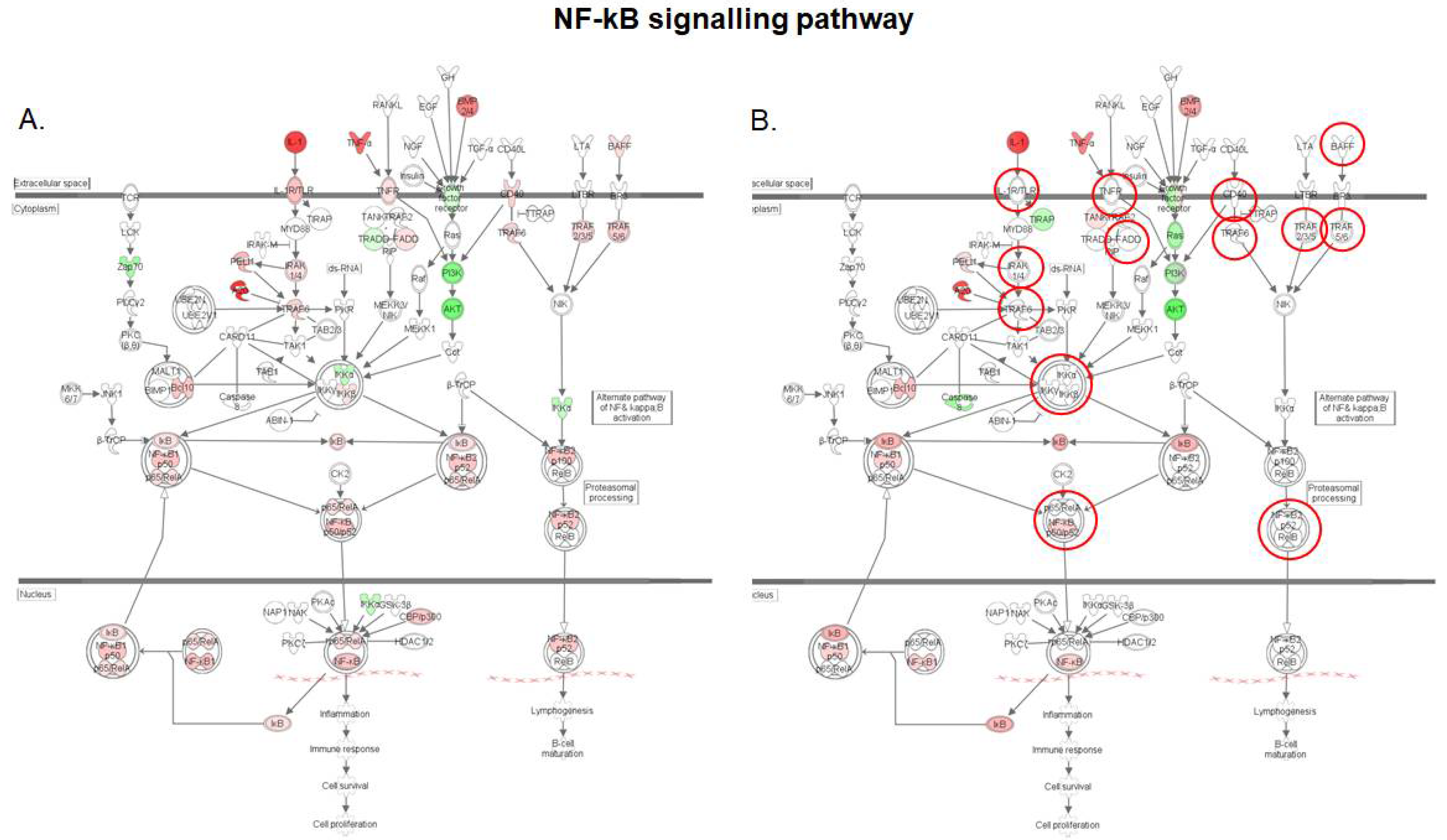 Toxins 10 00199 g005 Toxins 10 00199 g005