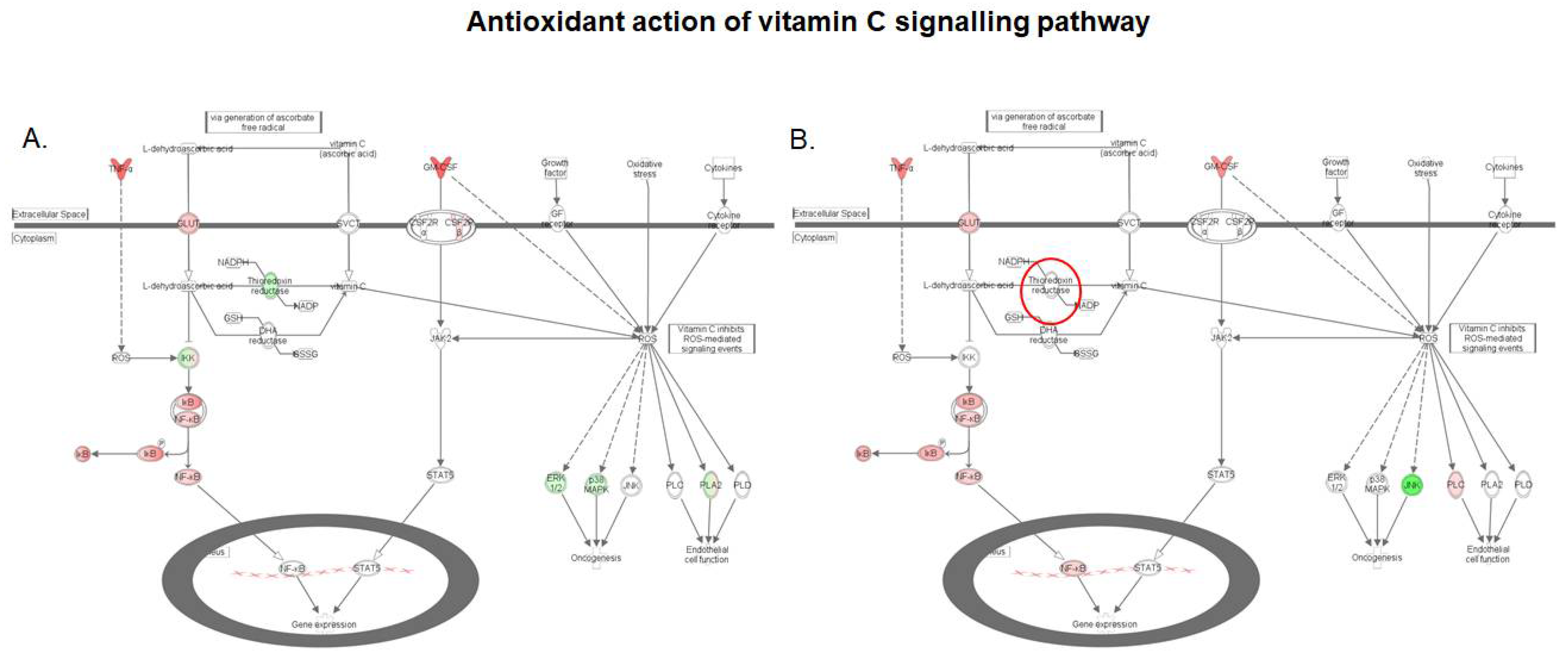 Toxins 10 00199 g006 Toxins 10 00199 g006