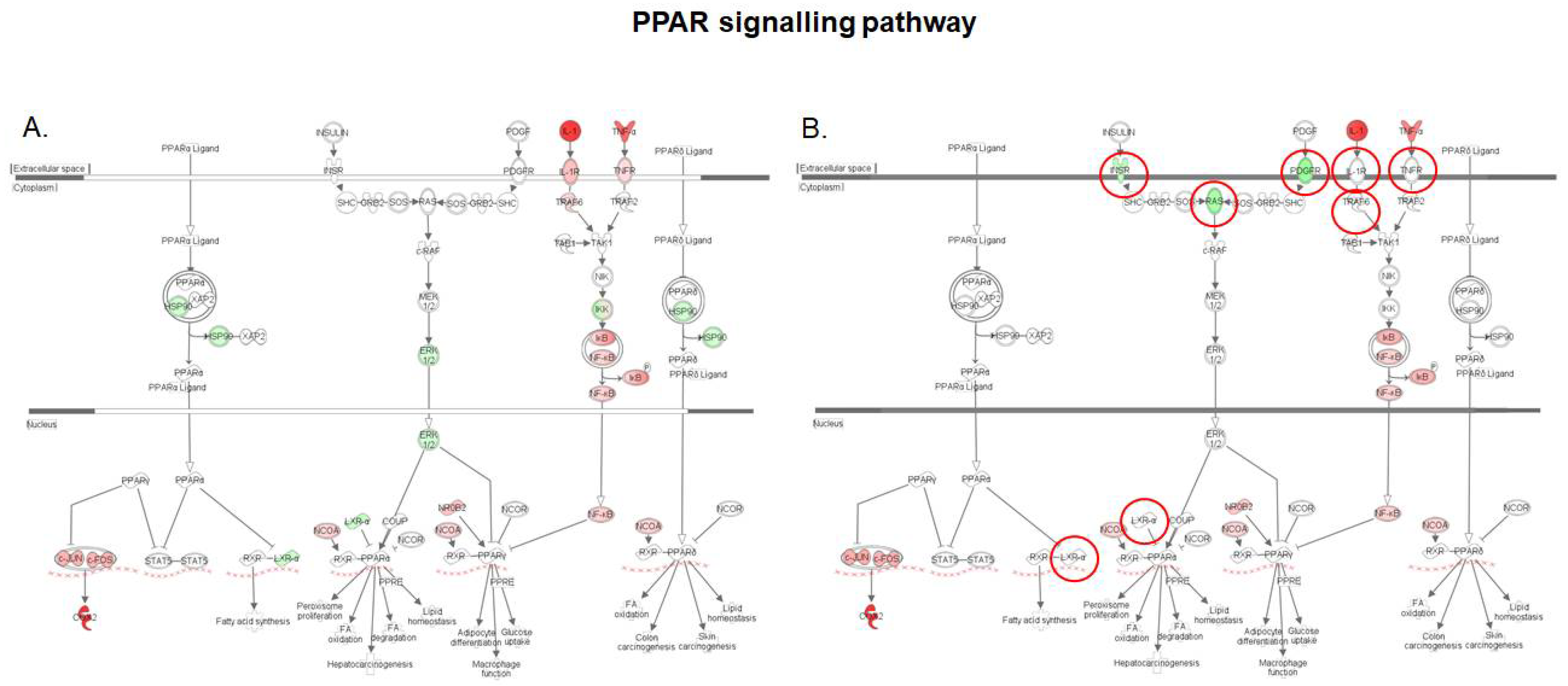 Toxins 10 00199 g007 Toxins 10 00199 g007